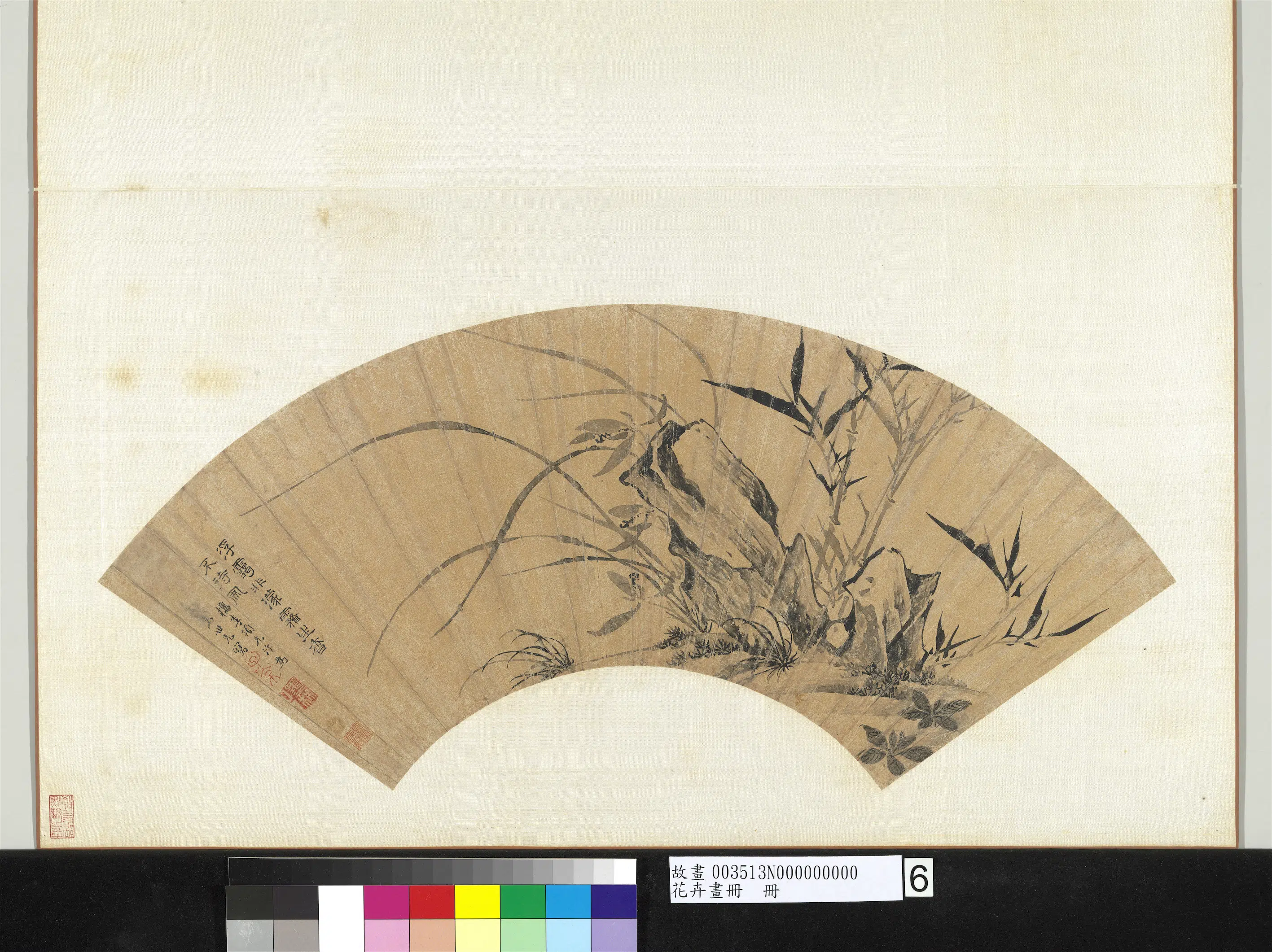 《花卉画册-1》 第9张