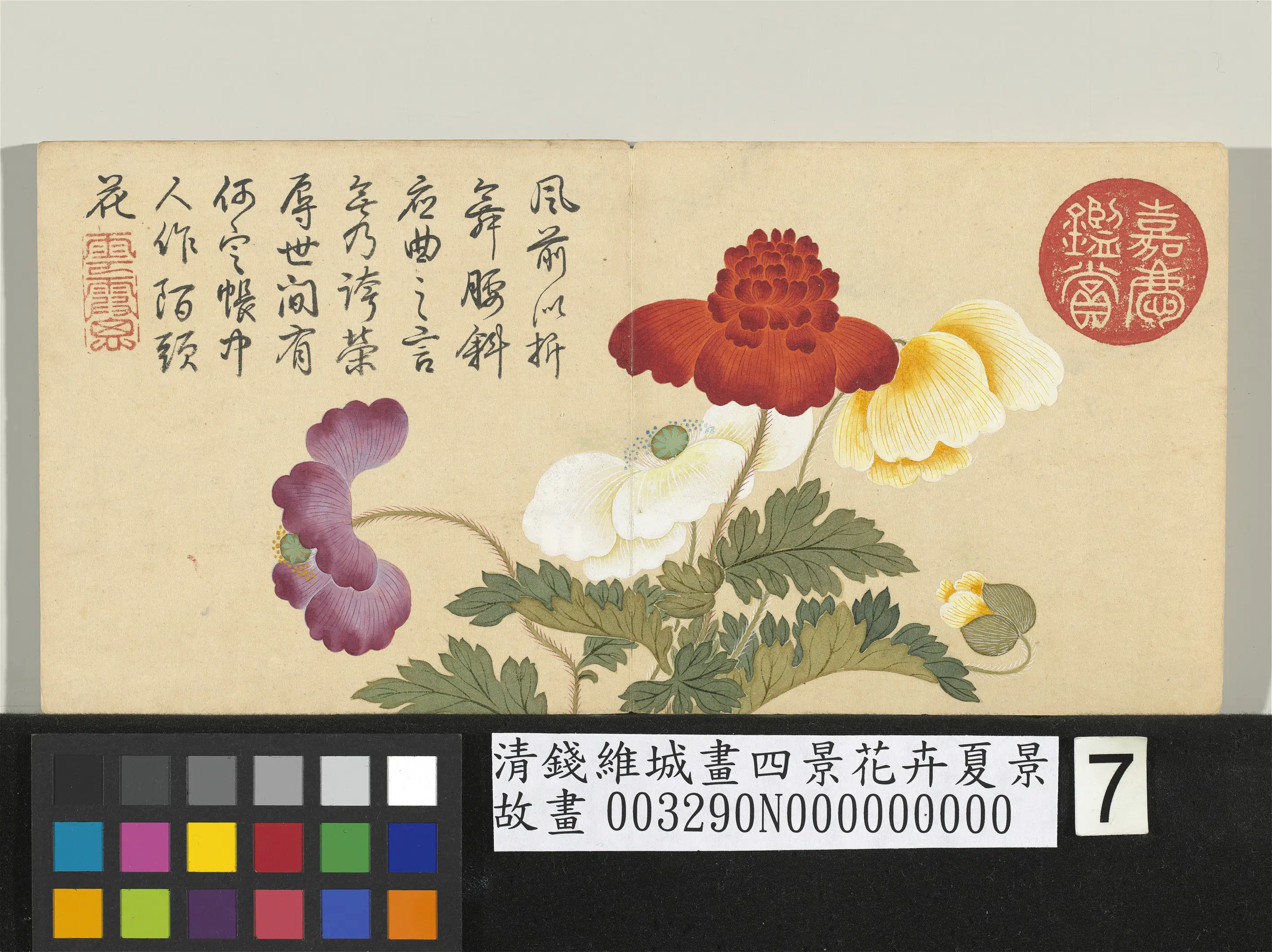 清代【钱维城】《画四景花卉夏景册》 第6张 清代【钱维城】《画四景花卉夏景册》 第6张