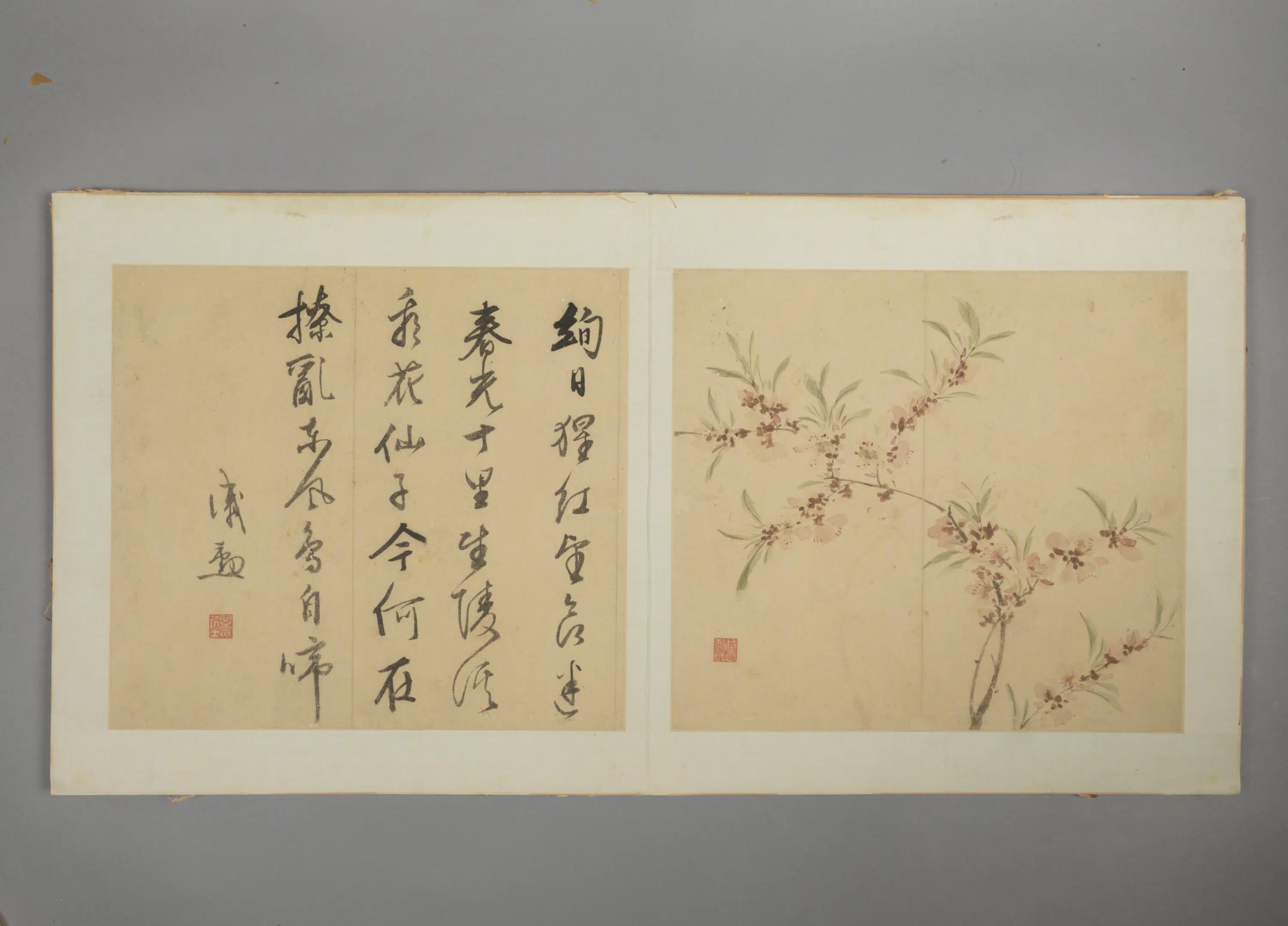 明朝【戚勋】《花卉册》