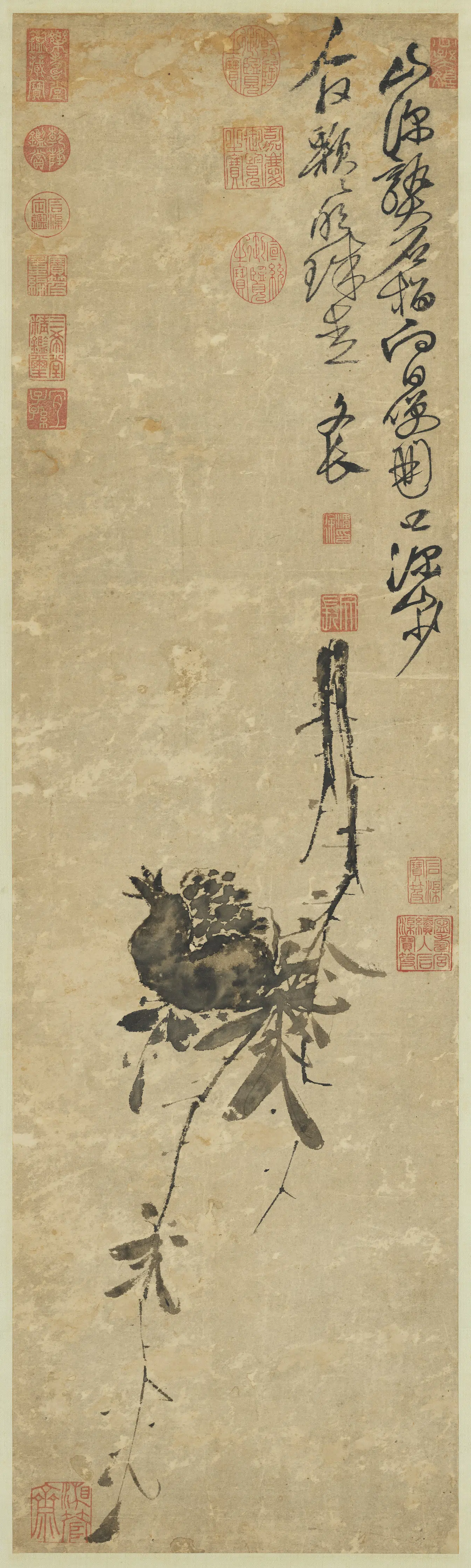 明朝【徐渭】《榴实图轴》