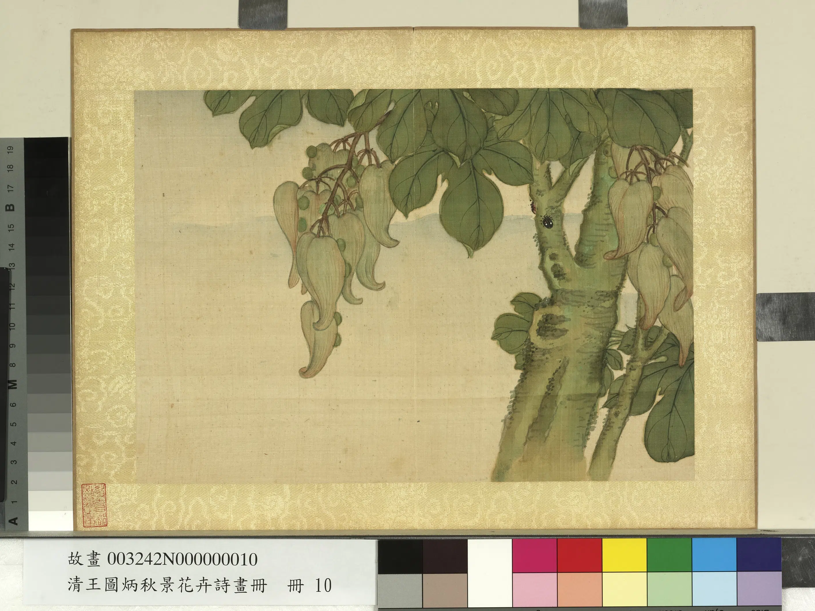 清代【王图炳】《秋景花卉诗画册》 第12张 清代【王图炳】《秋景花卉诗画册》 第12张