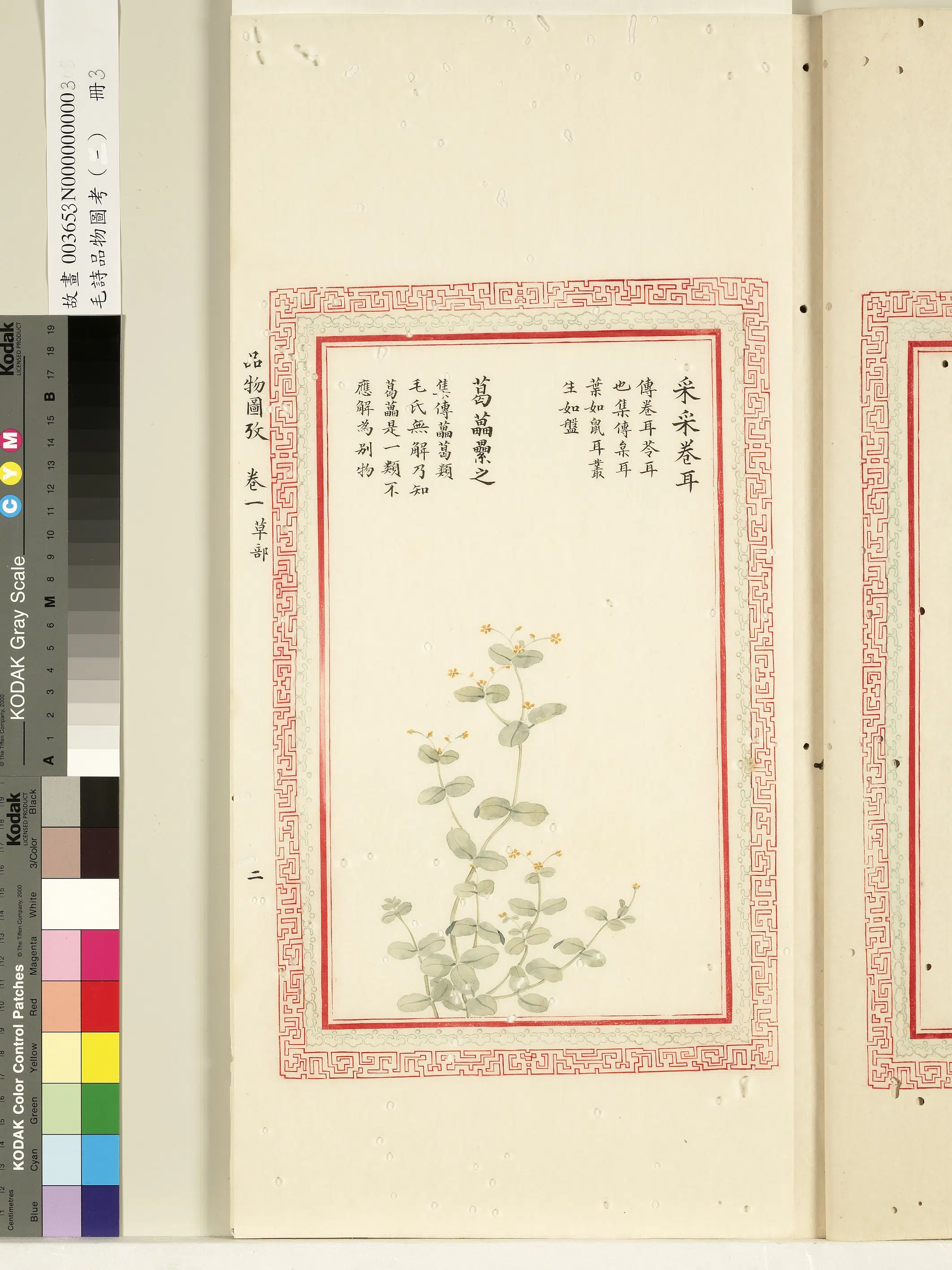 清代《毛诗品物图考(一)册-1》 第53张 清代《毛诗品物图考(一)册-1》 第53张