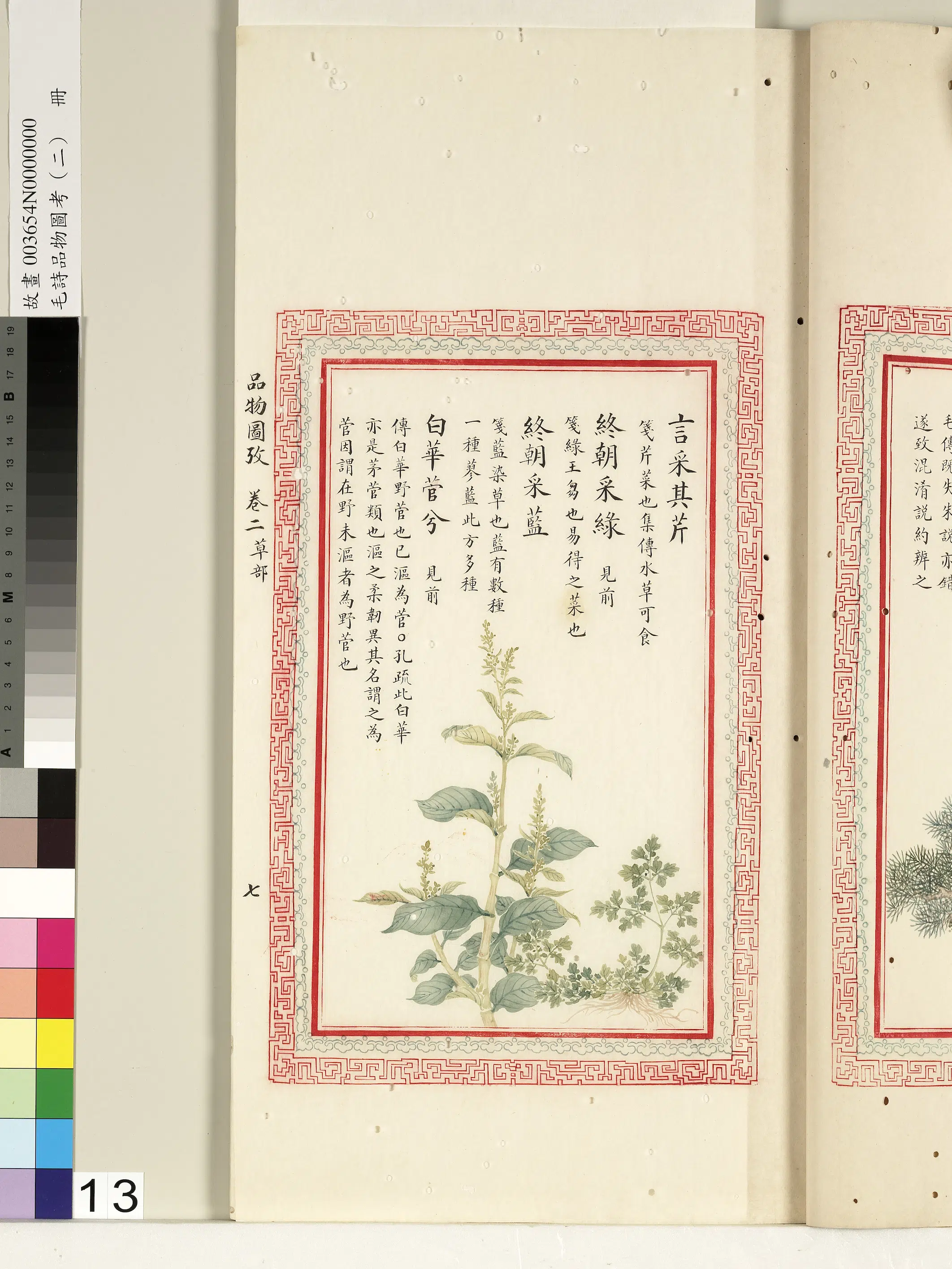 清代《毛诗品物图考(二)册-1》 第51张 清代《毛诗品物图考(二)册-1》 第51张
