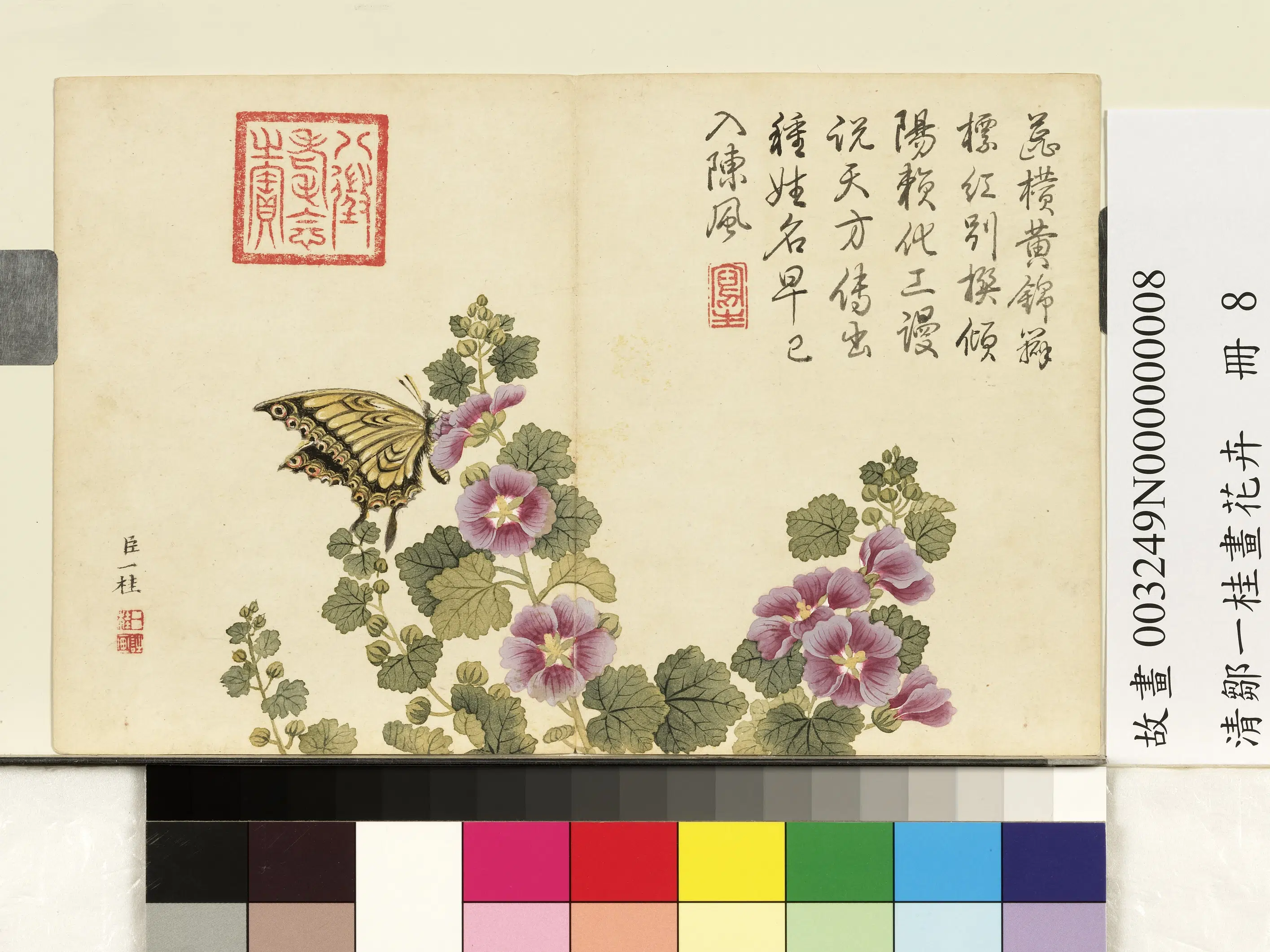 清代【邹一桂】《画花卉册-锦葵》
