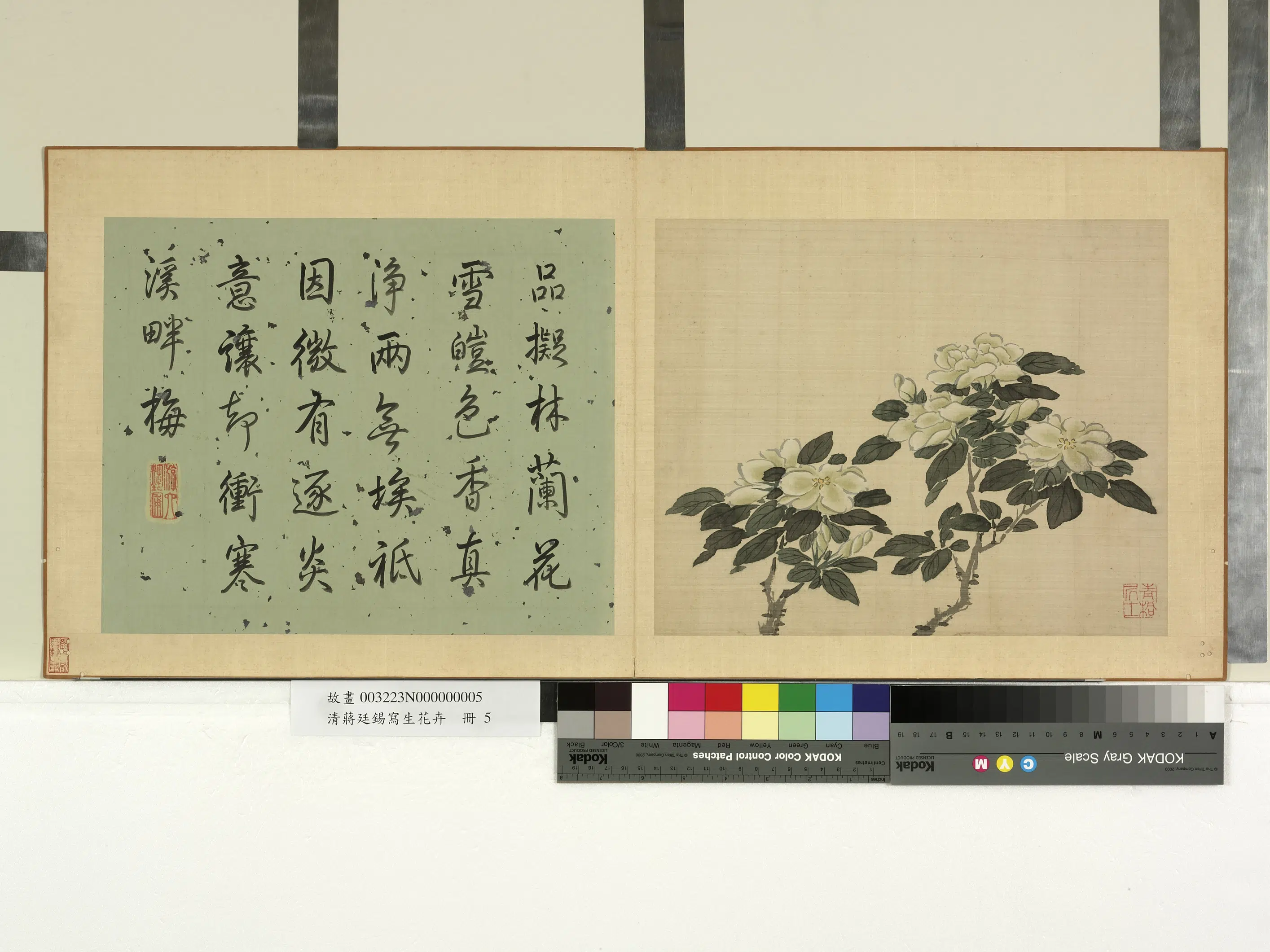 清代【蒋廷锡】《写生花卉册》 第2张