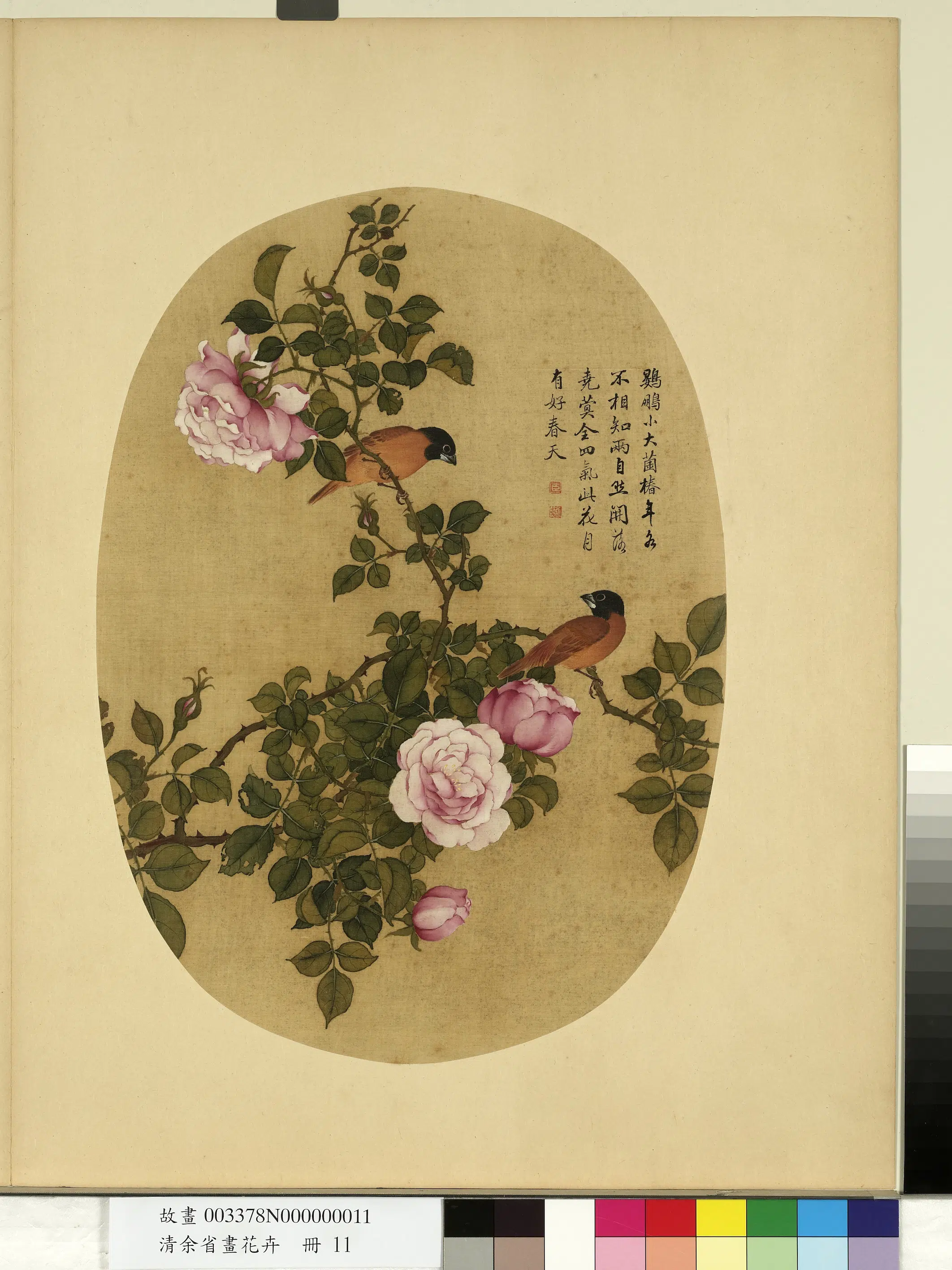 清代【余省】《画花卉册》 第11张