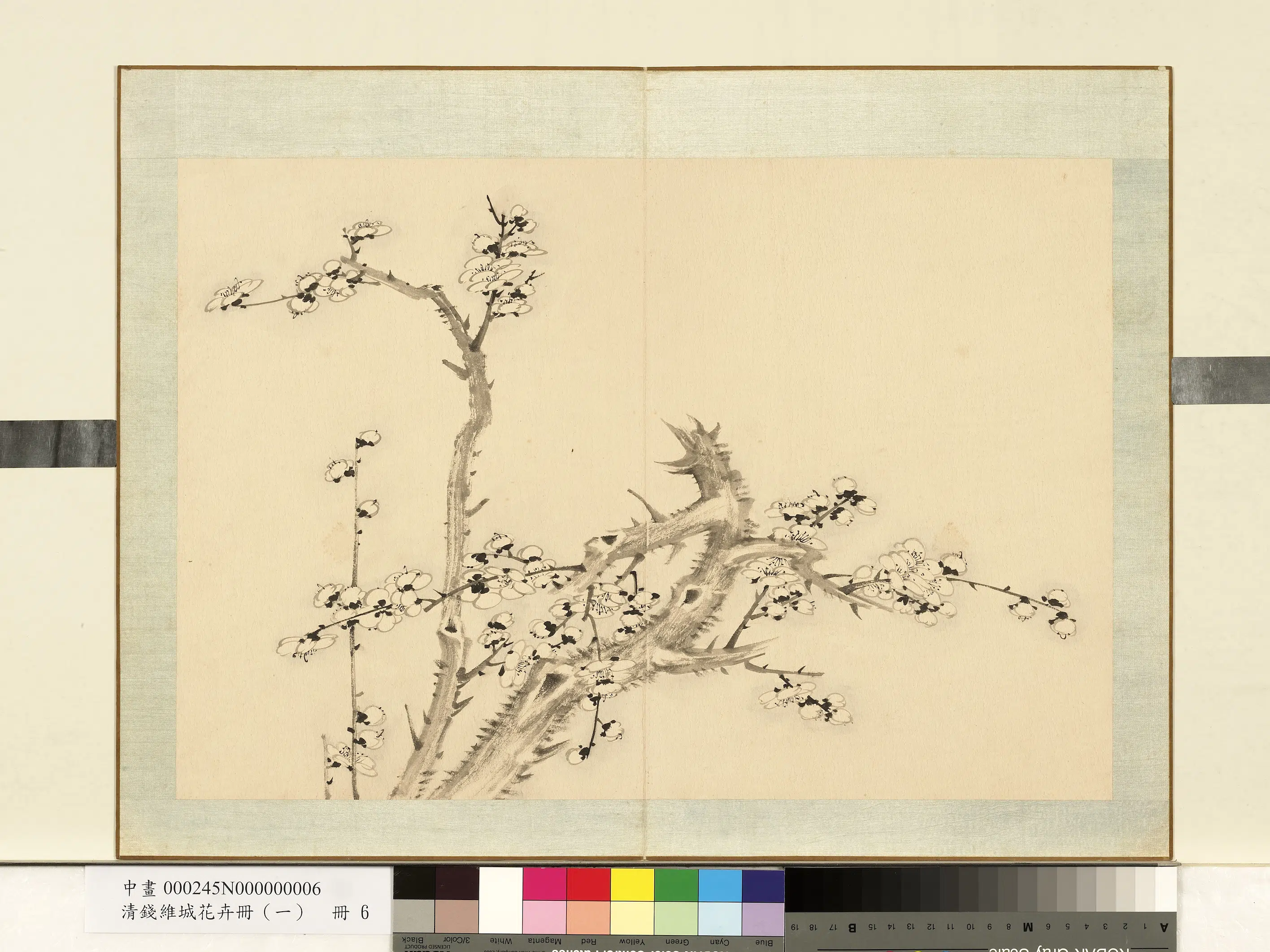 清代【钱维城】《花卉册（一）册-画梅之六》