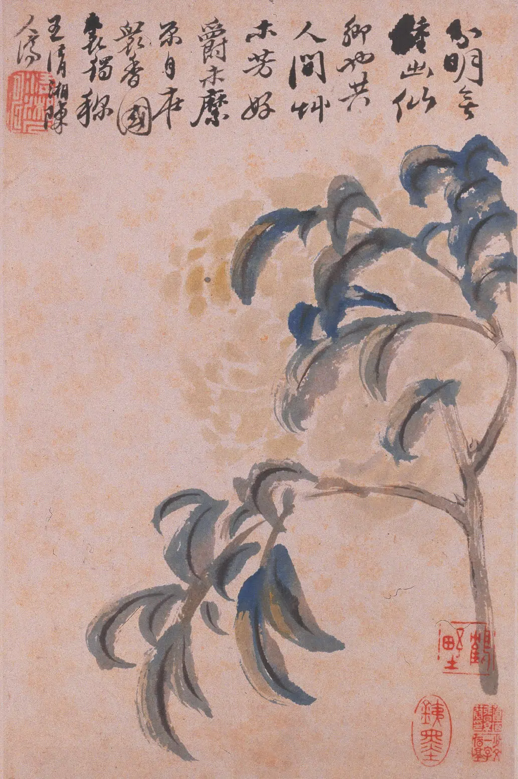 清代【石涛】《花卉册》 第11张 清代【石涛】《花卉册》 第11张
