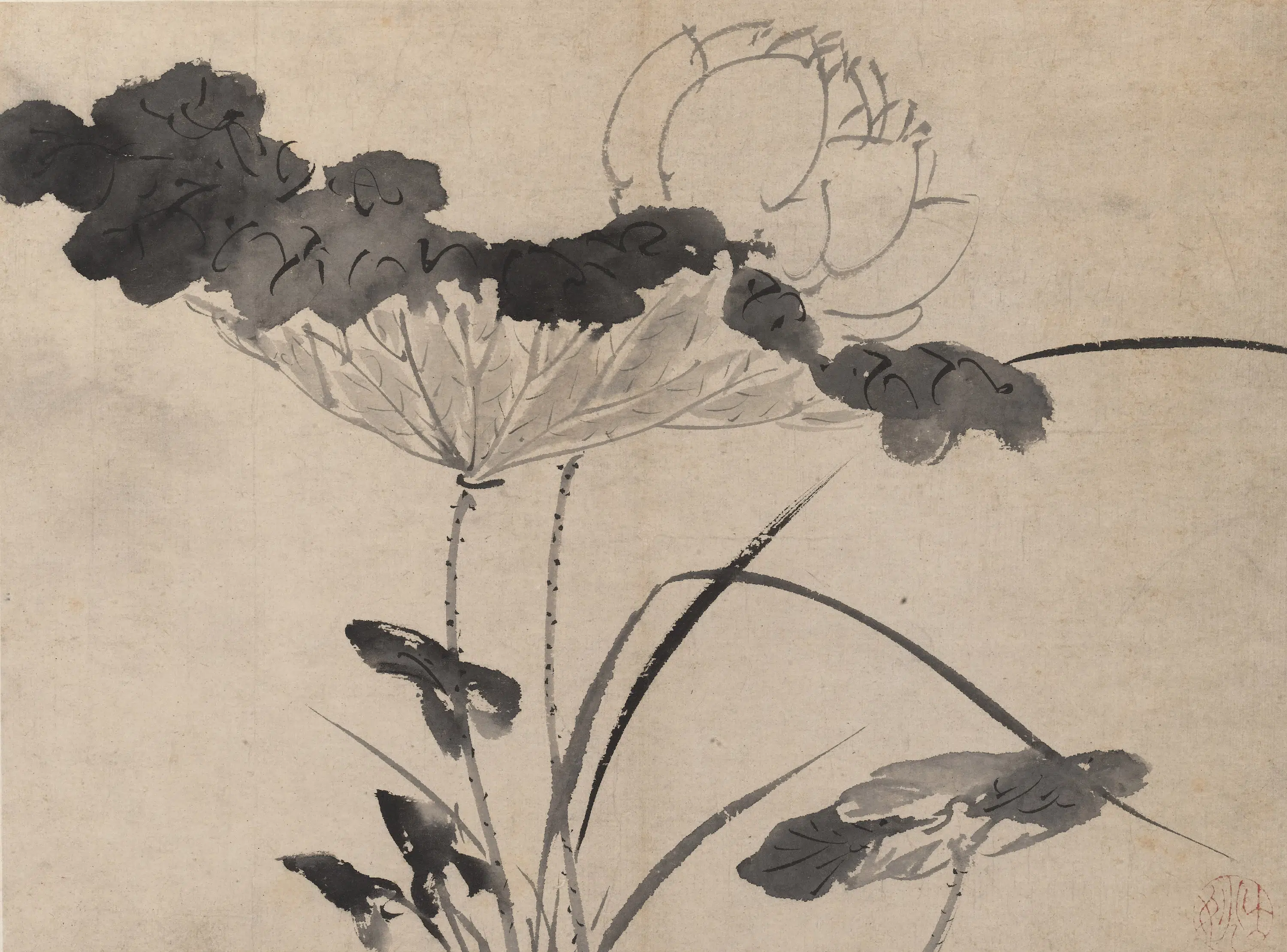 明朝【陈淳（道复）】《墨花图册》 第20张