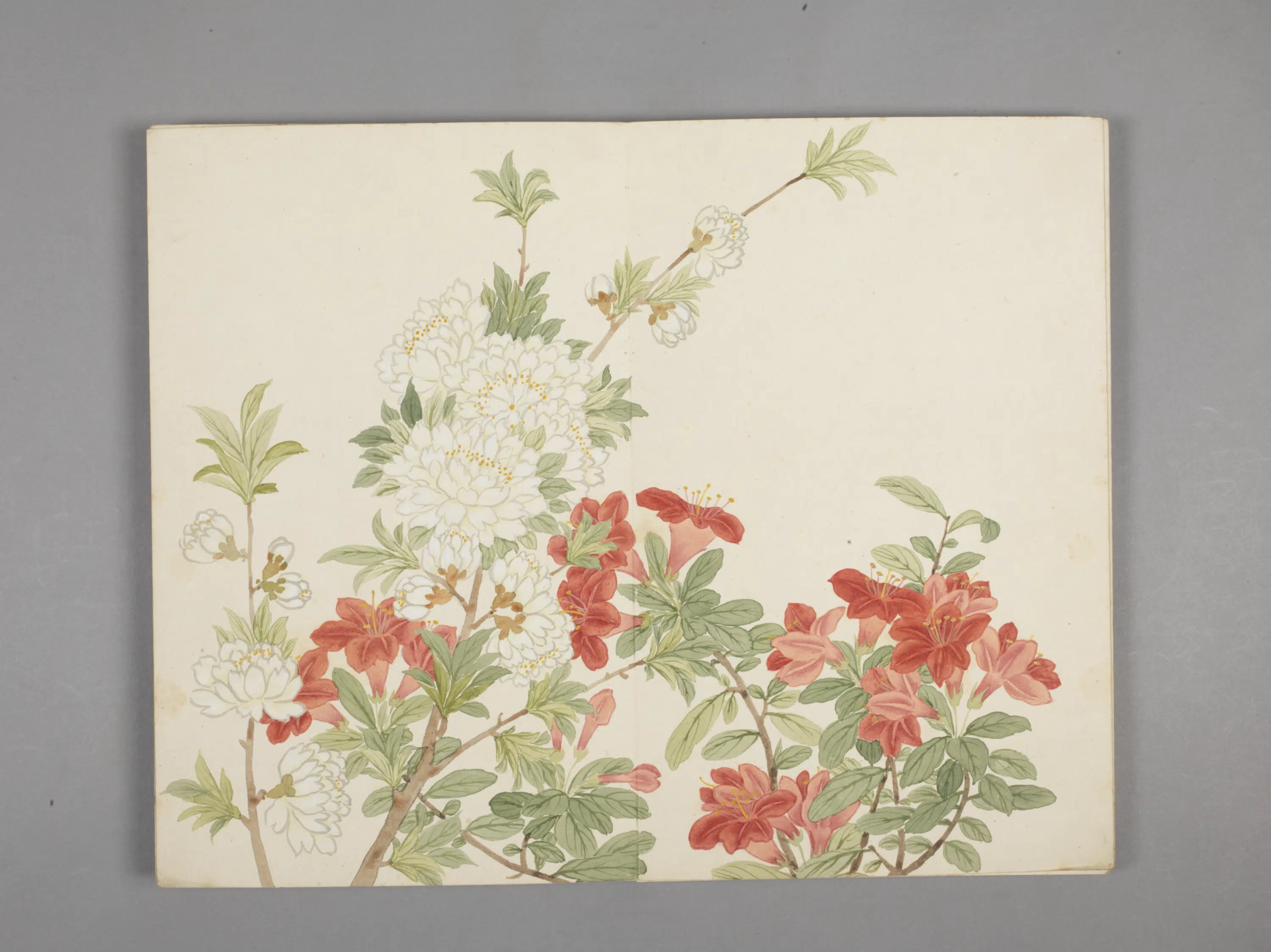 清代【董诰】《绚锦胪芳图册(10开)》 第4张 清代【董诰】《绚锦胪芳图册(10开)》 第4张
