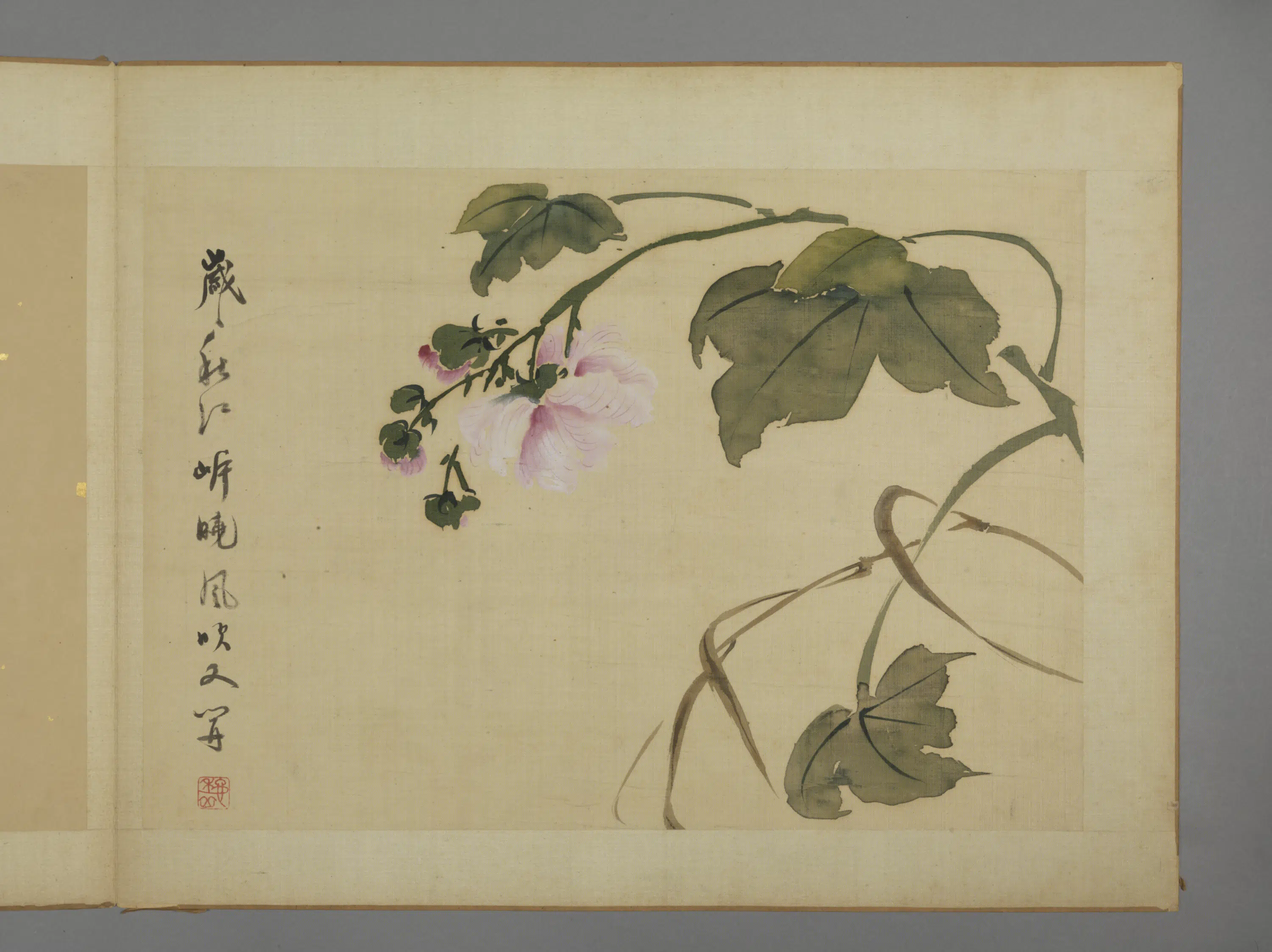 清代【华喦】《花卉图册（11开）》 第3张