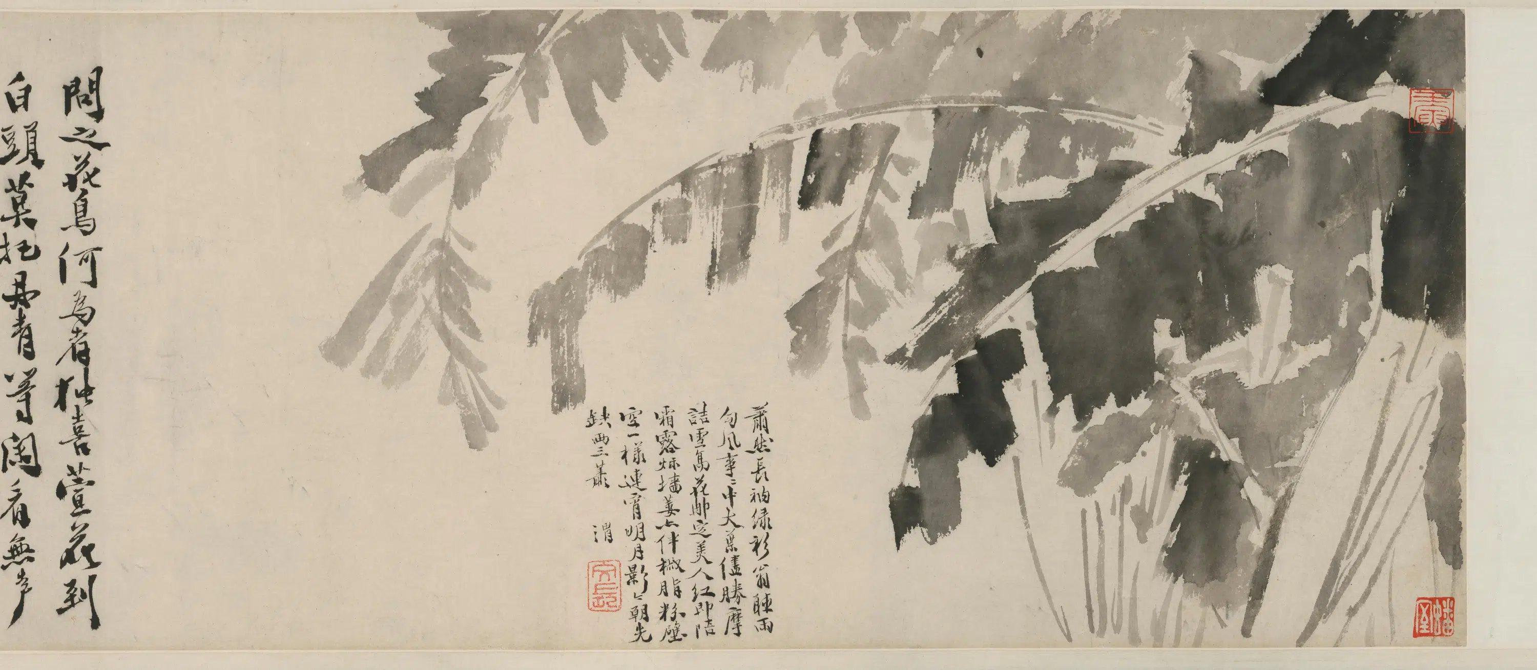明朝【徐渭】《墨花卷-1》 第9张
