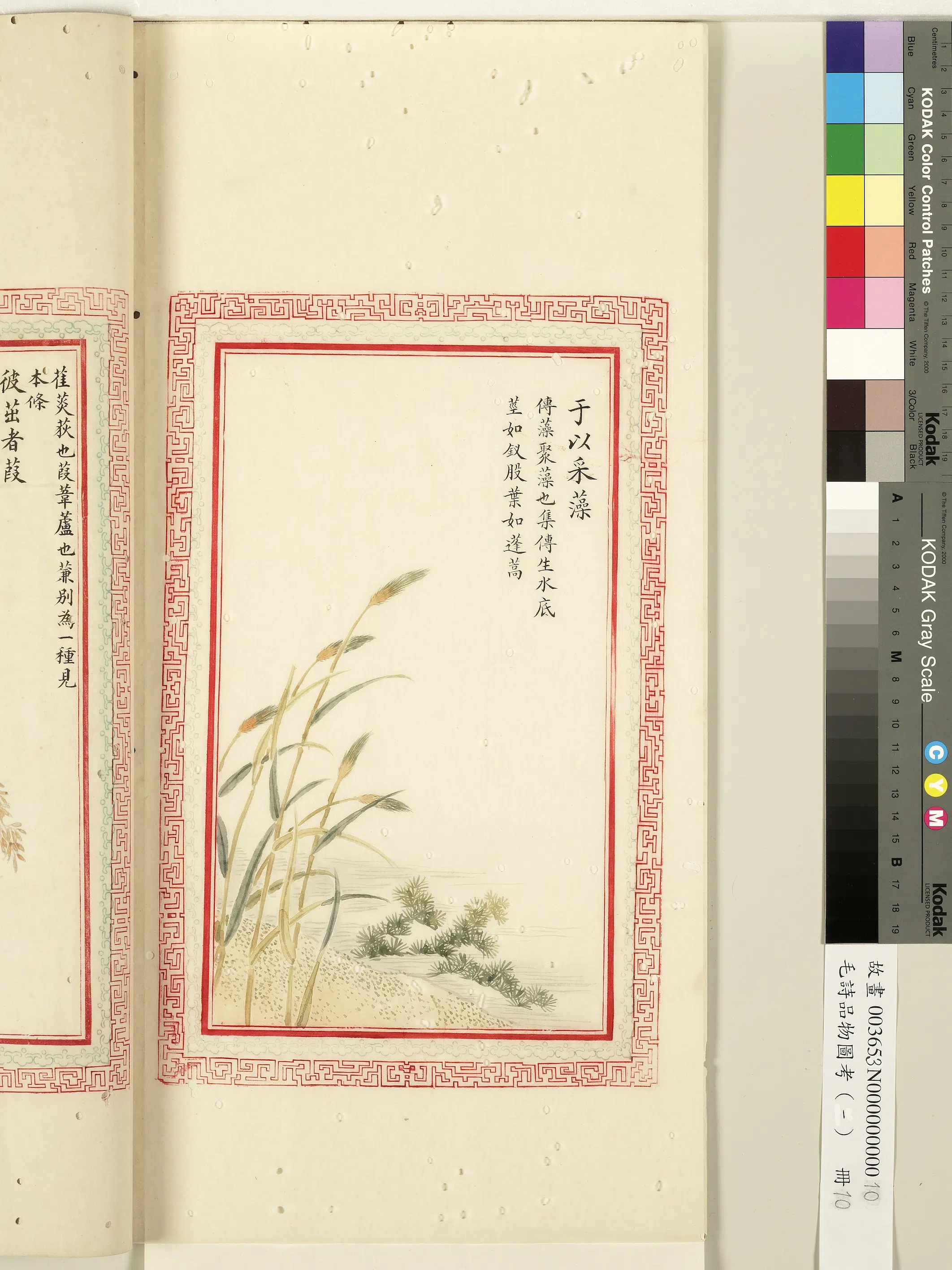 清朝【佚名】《毛诗品物图考(一)册-于以采藻-1》 第1张 清朝【佚名】《毛诗品物图考(一)册-于以采藻-1》 第1张