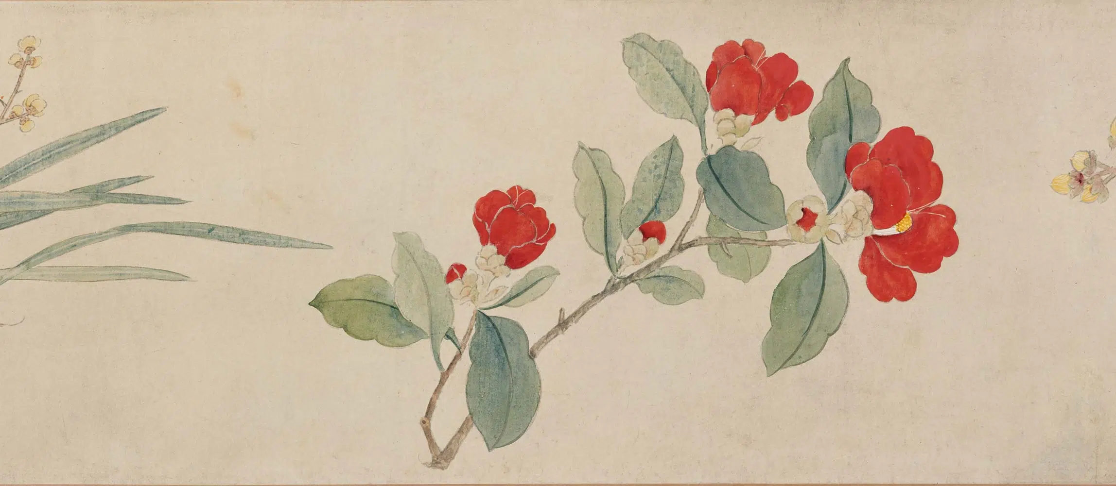 明朝【孙克弘】《设色花卉卷》 第3张 明朝【孙克弘】《设色花卉卷》 第3张