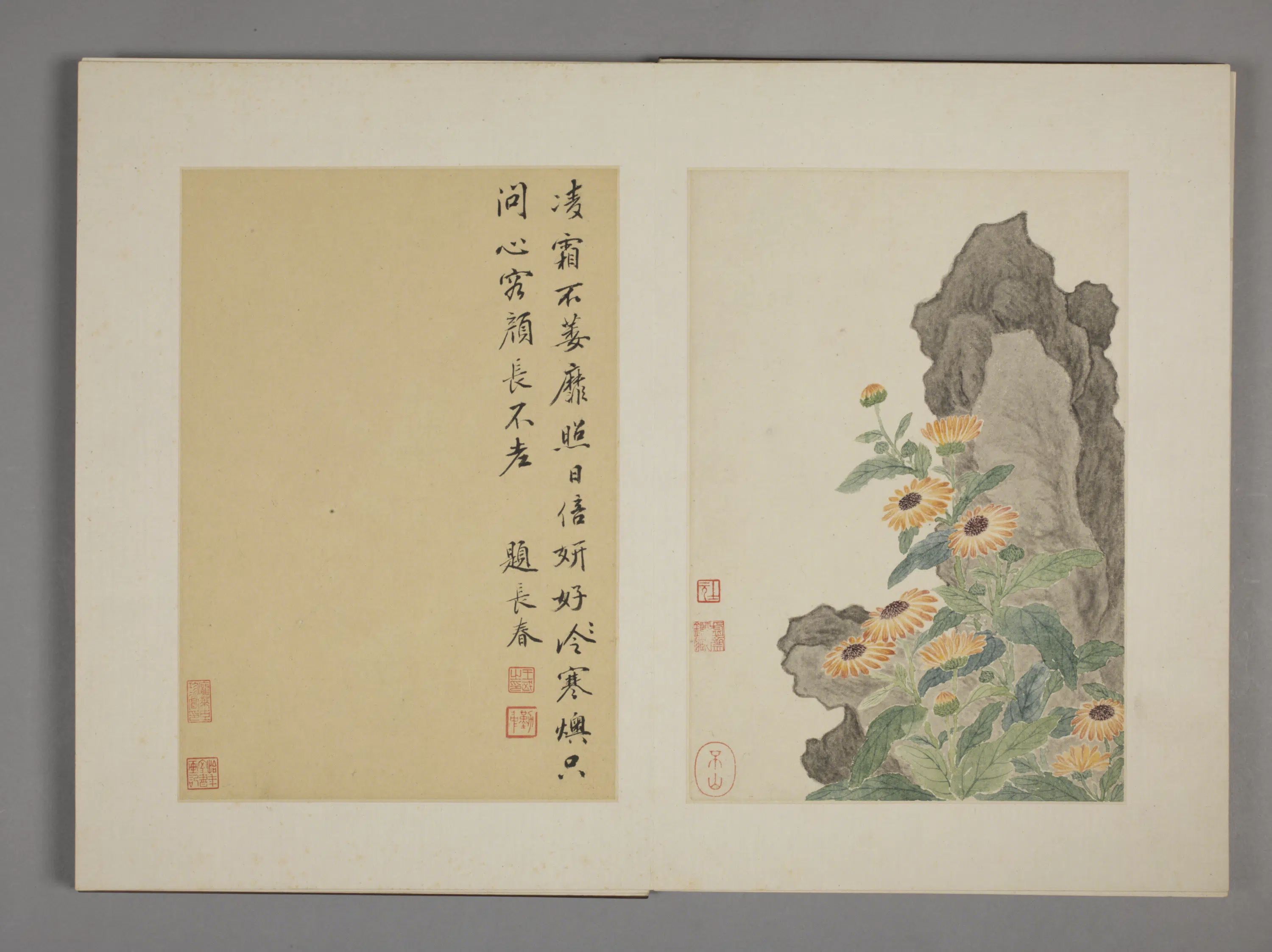 清代【王武】《花卉册九开》 第4张