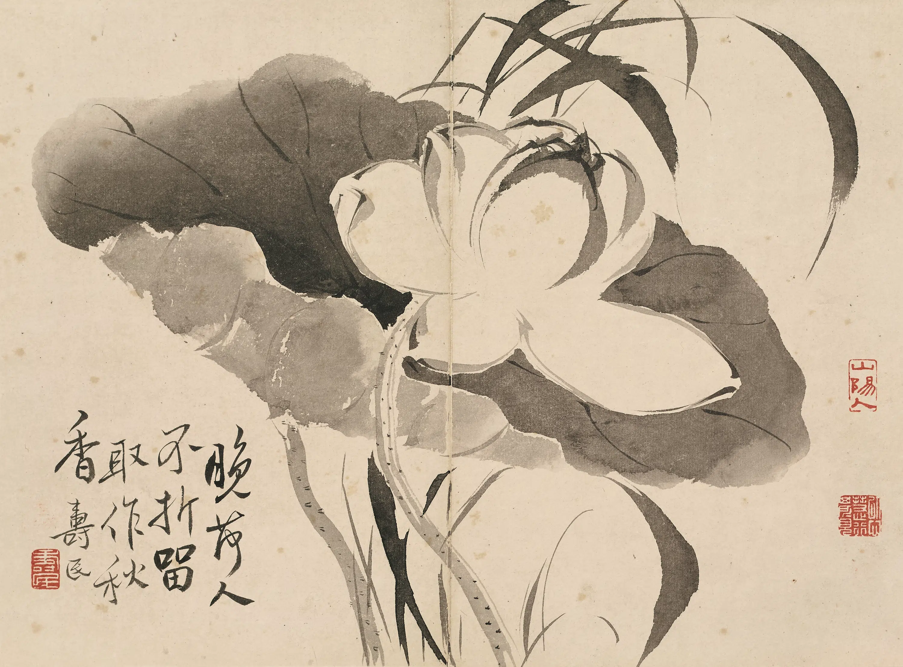 清代【边寿民】《杂画图册》 第3张