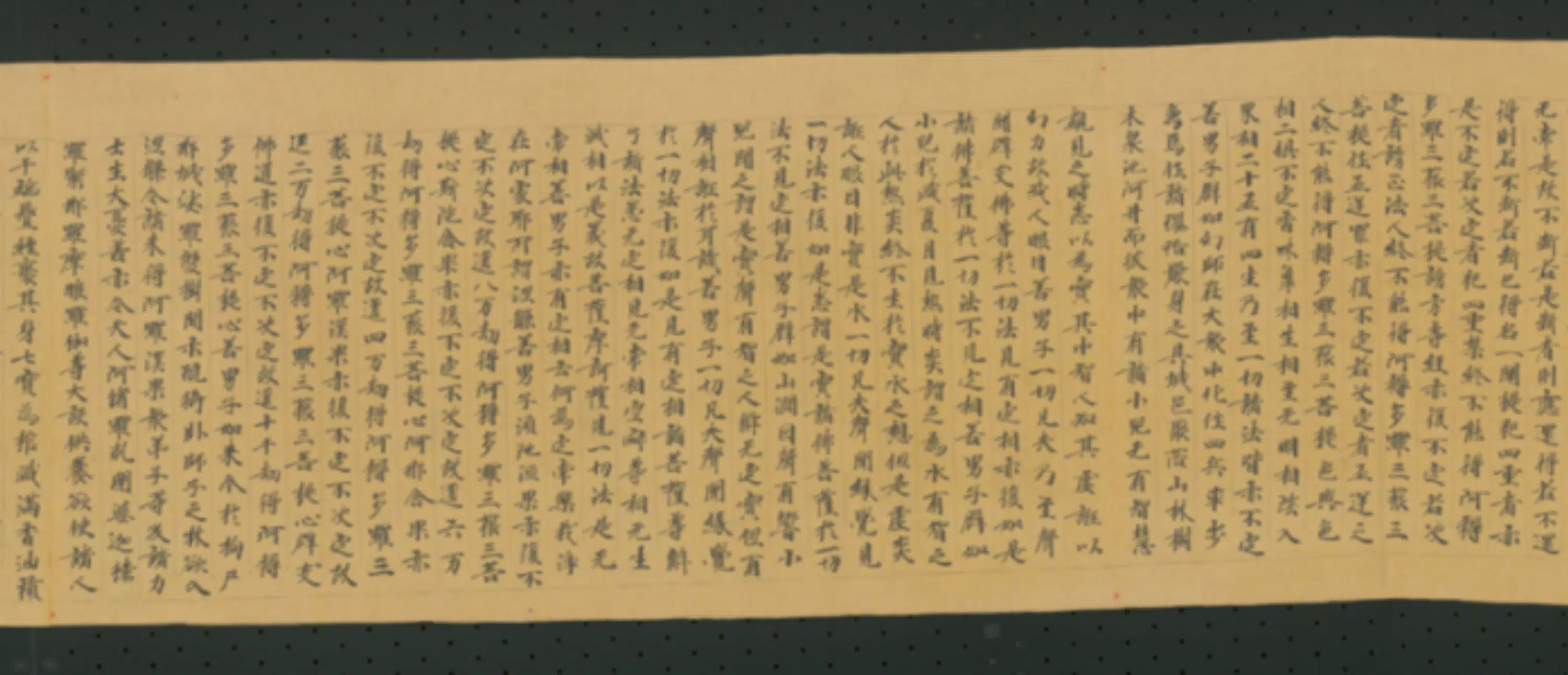 唐朝《无款行书写大湼槃经德王菩萨品二十二卷》 第12张