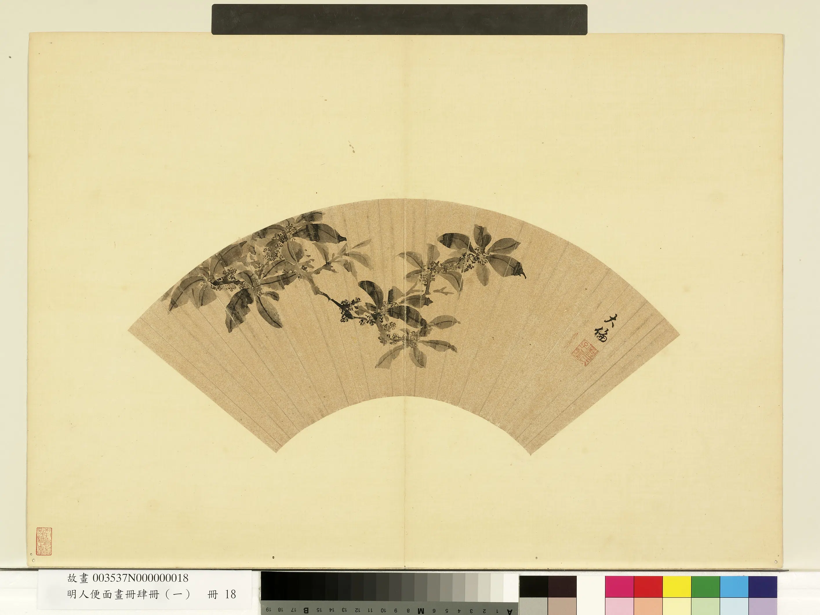 明朝【程大伦】《明人便面画册(一)册-明程大伦墨画桂花》 第1张 明朝【程大伦】《明人便面画册(一)册-明程大伦墨画桂花》 第1张