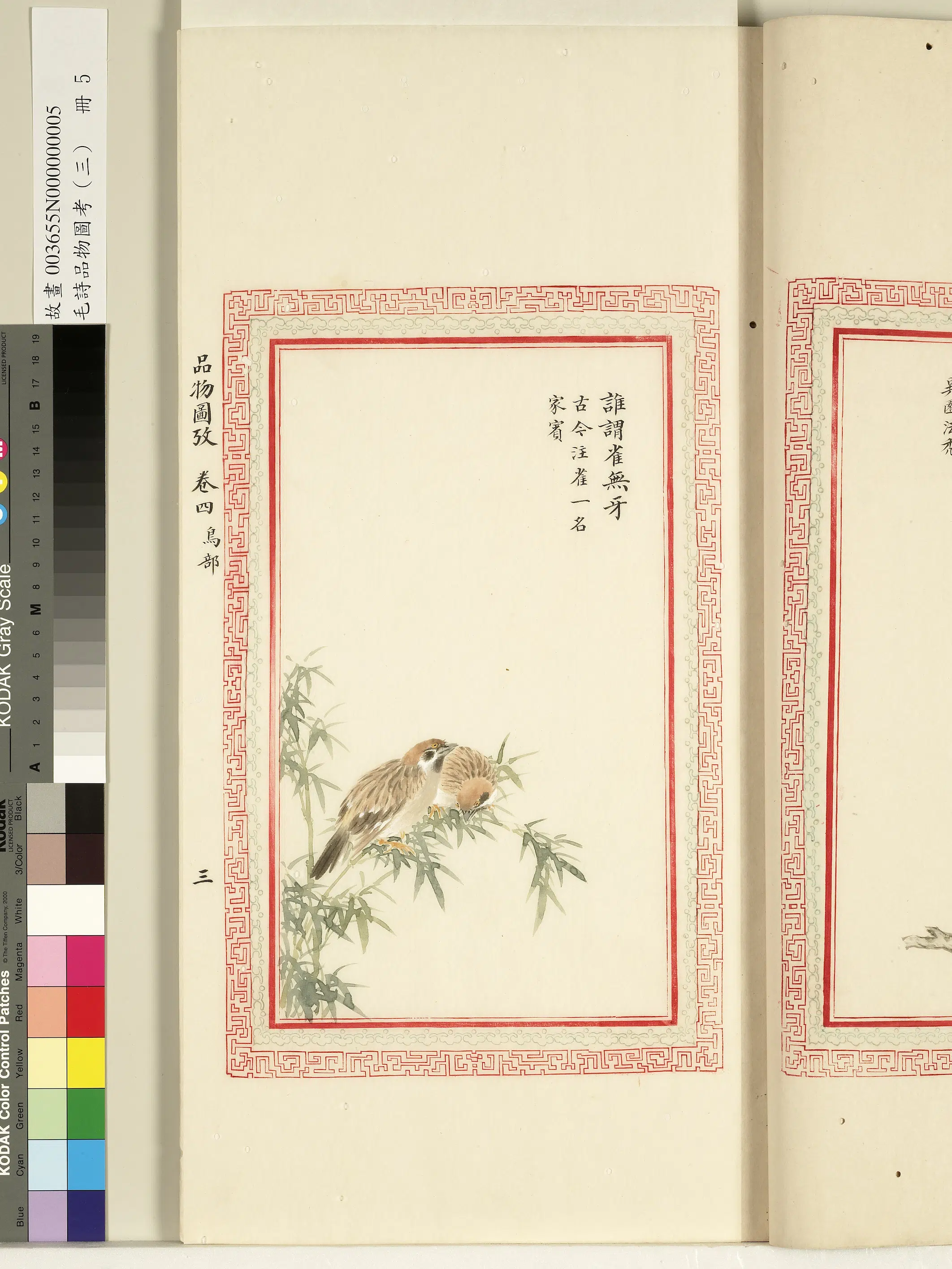 清代《毛诗品物图考(三)册-1》 第44张 清代《毛诗品物图考(三)册-1》 第44张