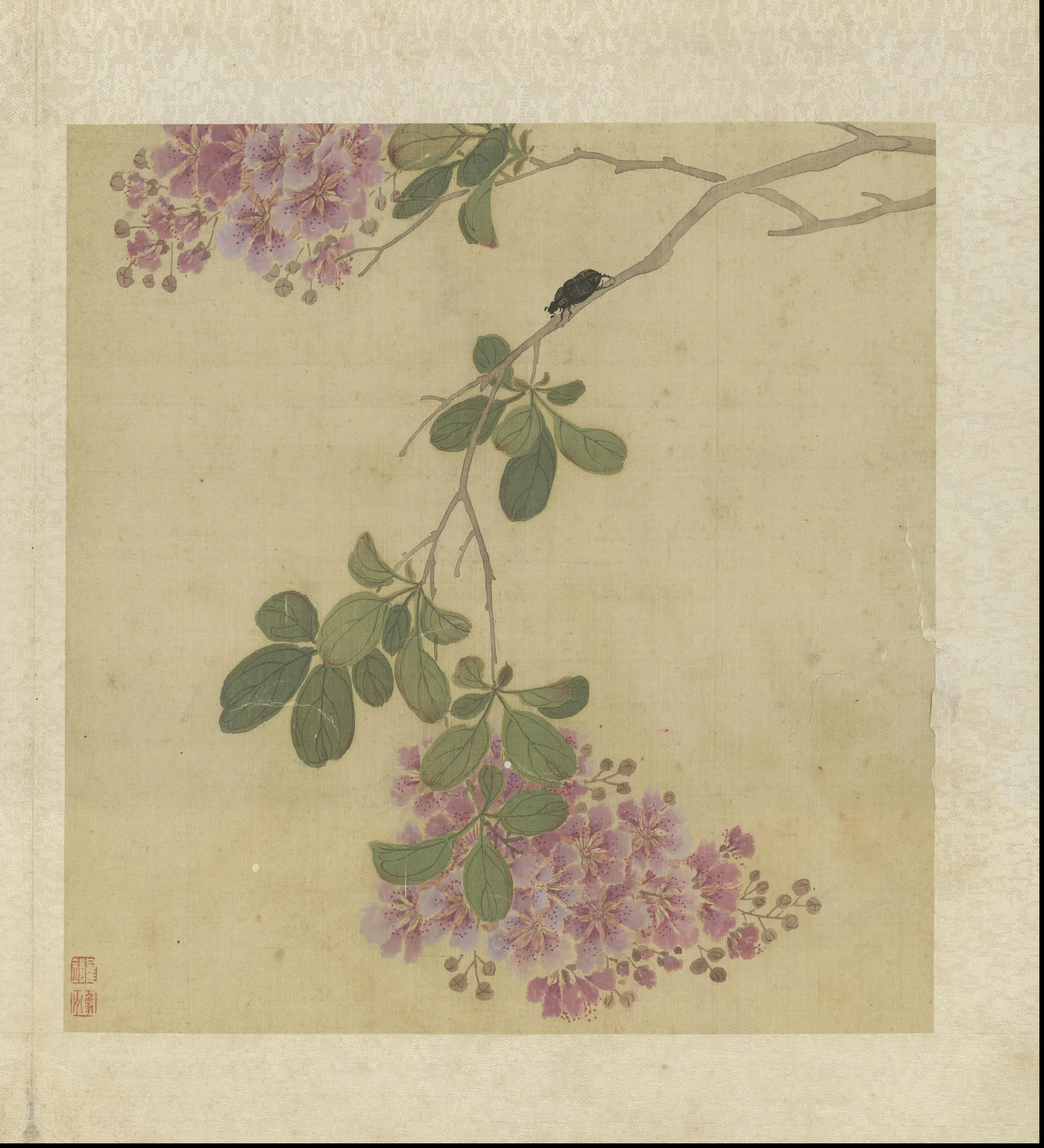清代【崔鏏】《花卉草虫图册》 第14张