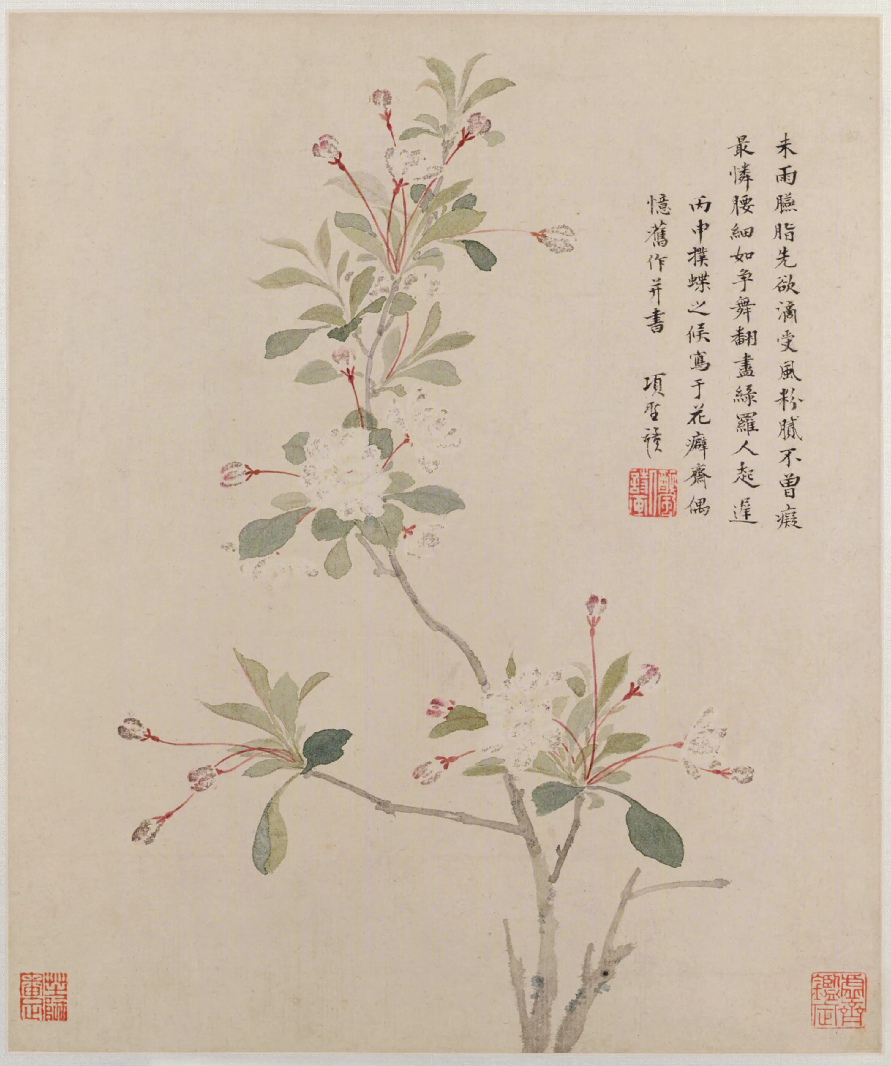 明朝【项圣谟】《花卉草虫册（8开）》 第1张