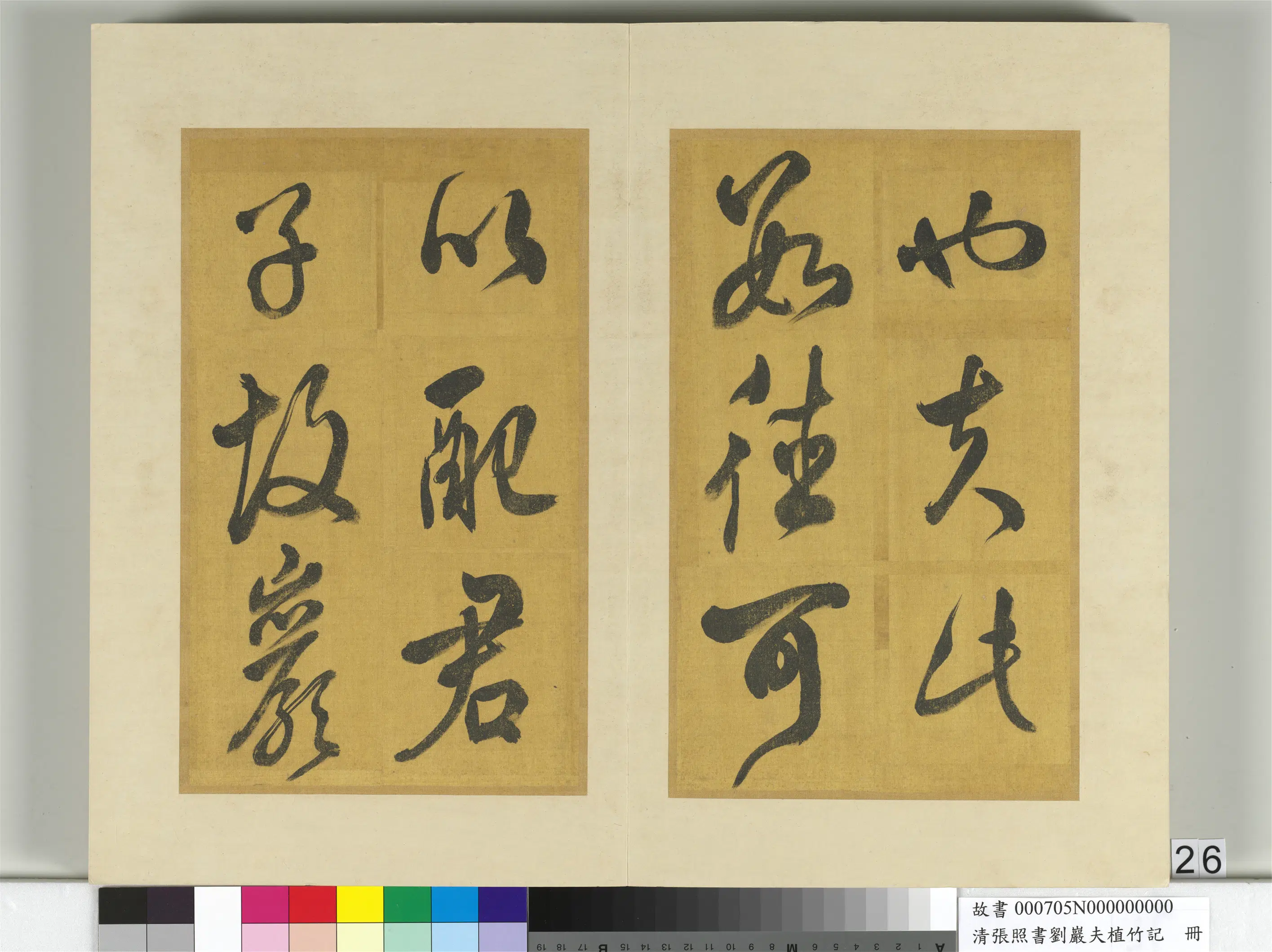 清代【张照】《书刘岩夫植竹记册》 第19张