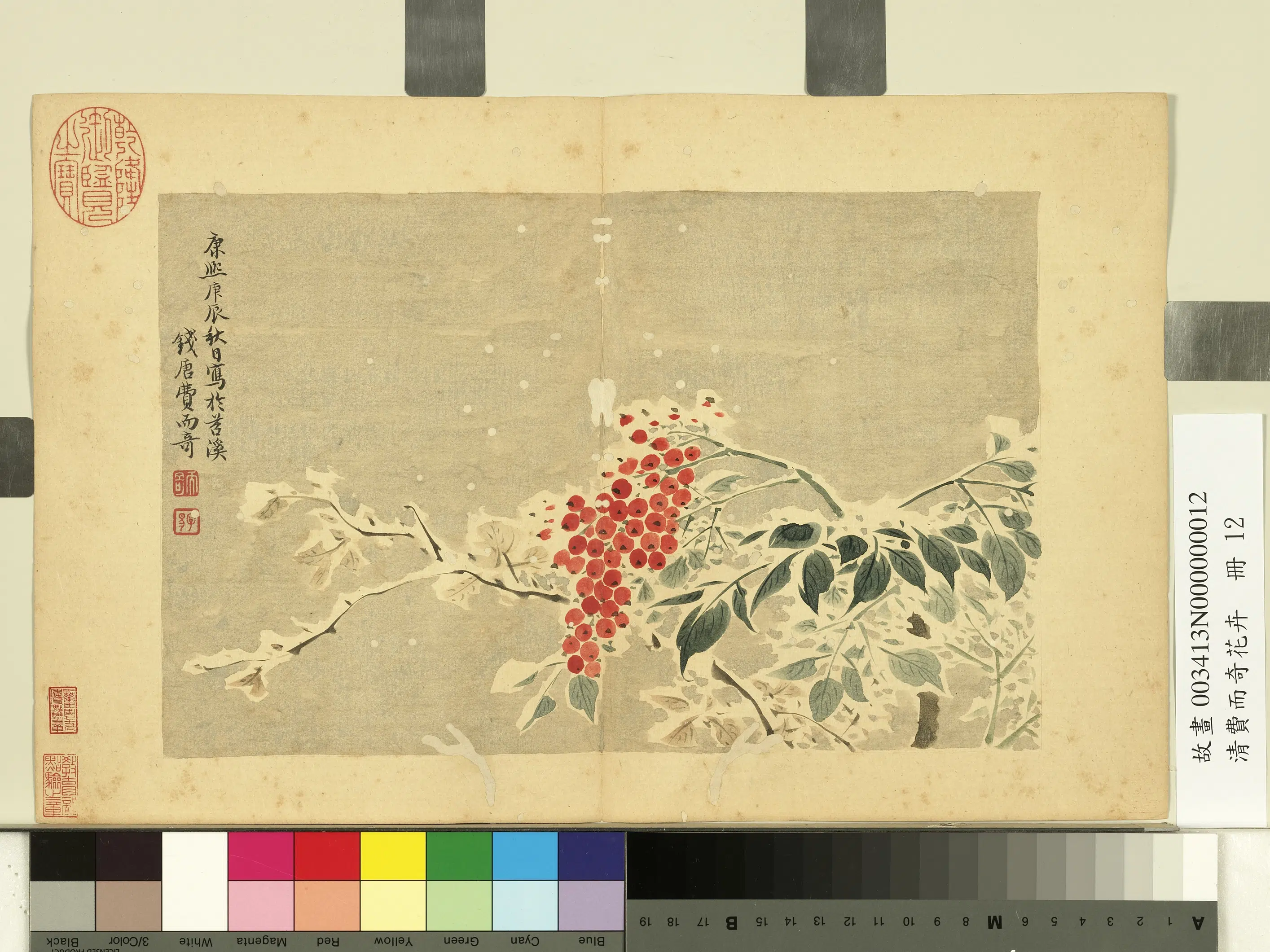 清代【费而奇】《花卉册-南天竺》