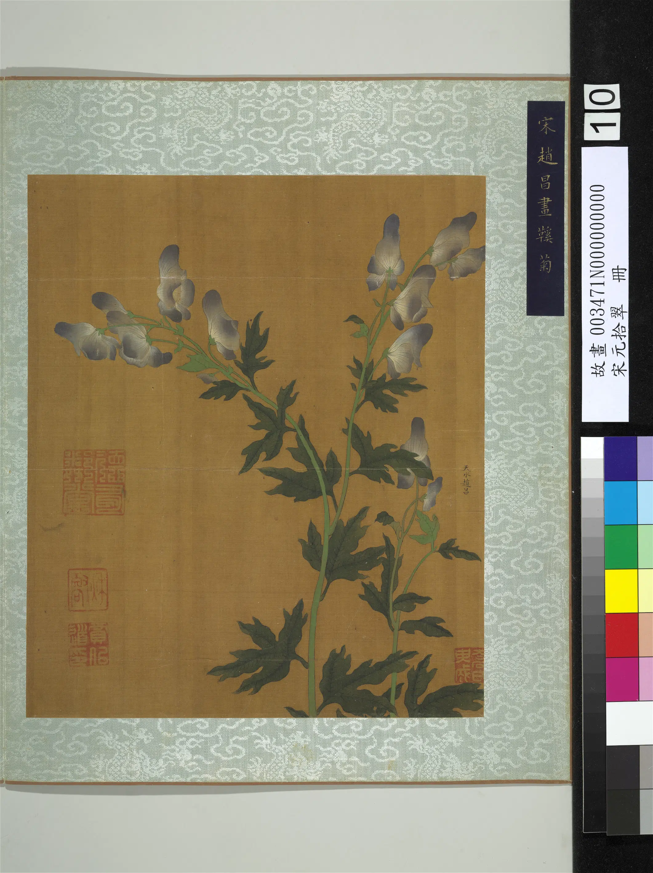 北宋【赵昌】《画鞵菊图-宋元拾翠册》
