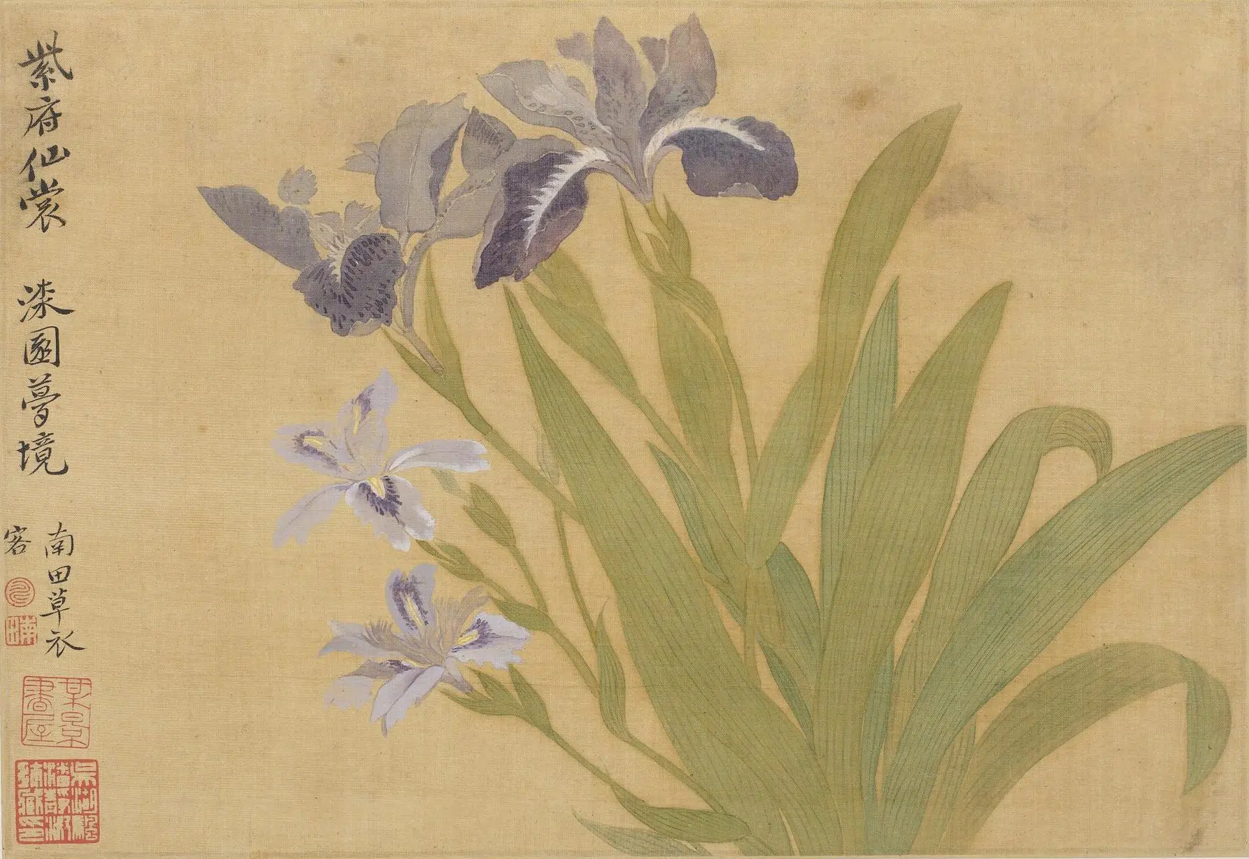 清代【恽寿平】《花卉图册(十开)》 第7张 清代【恽寿平】《花卉图册(十开)》 第7张
