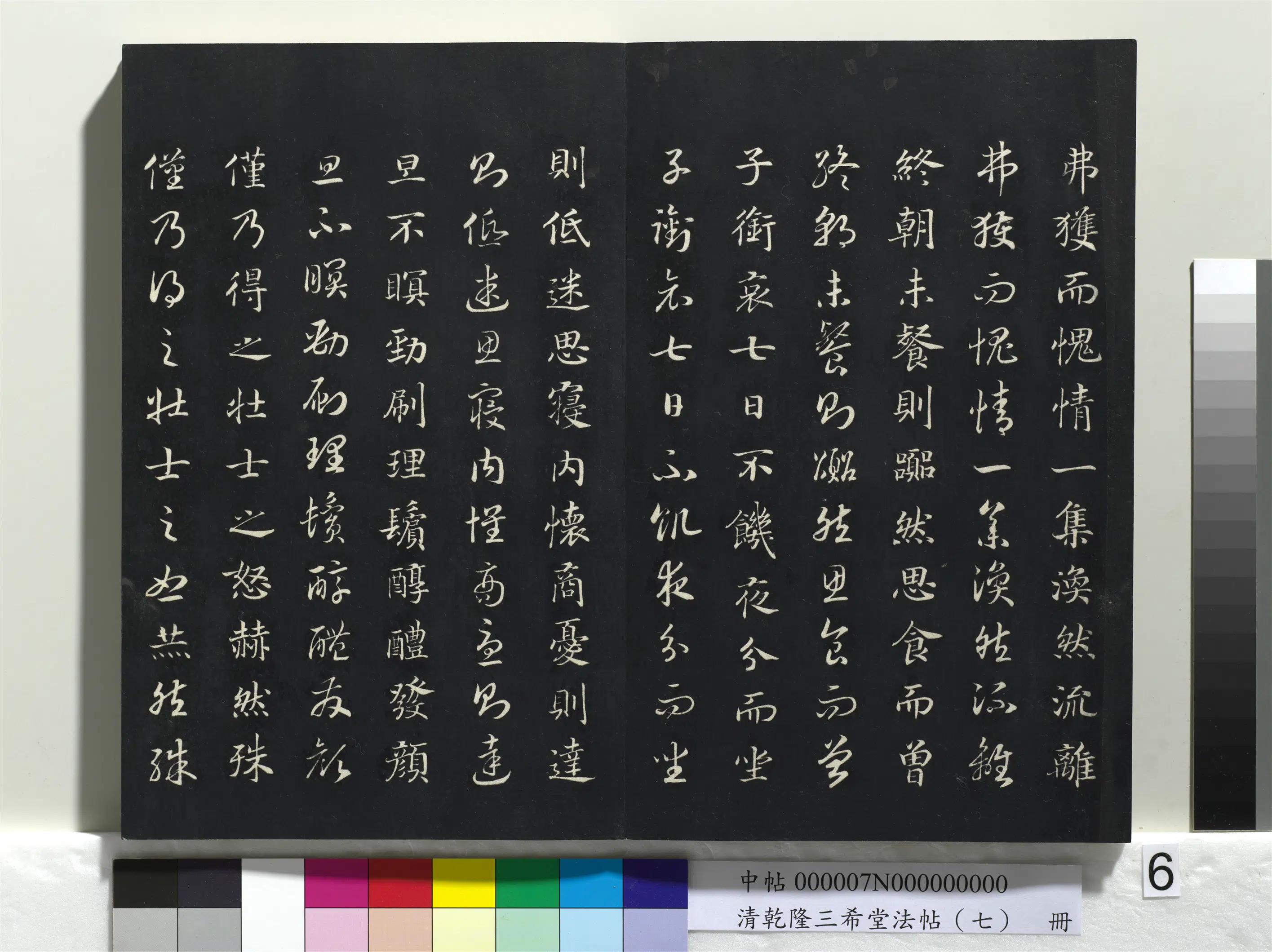 南宋【赵构-宋高宗】《乾隆三希堂法帖（七）册-宋高宗真草书嵇康养生论》 第19张