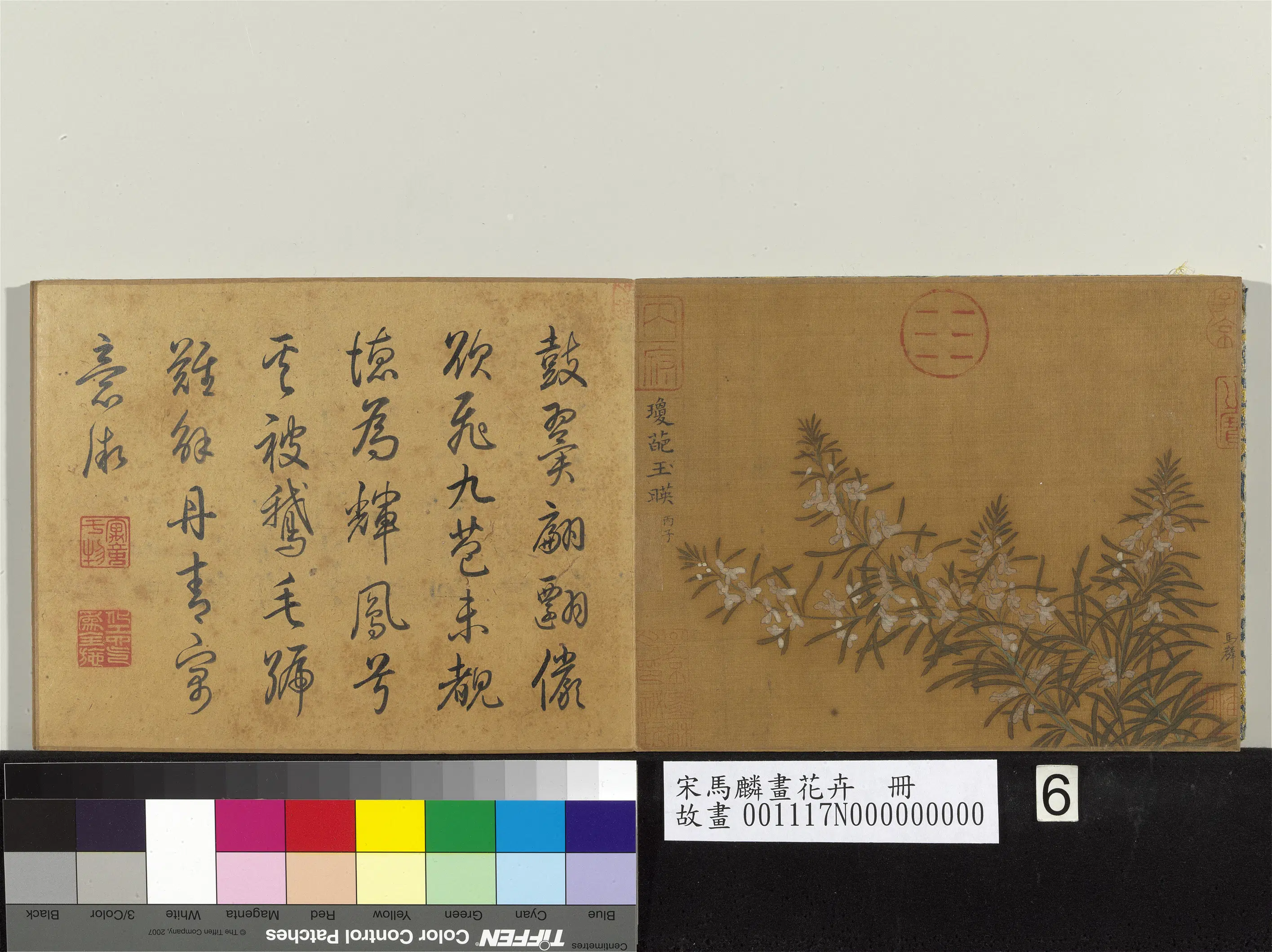 南宋【马麟】《画花卉册》 第7张