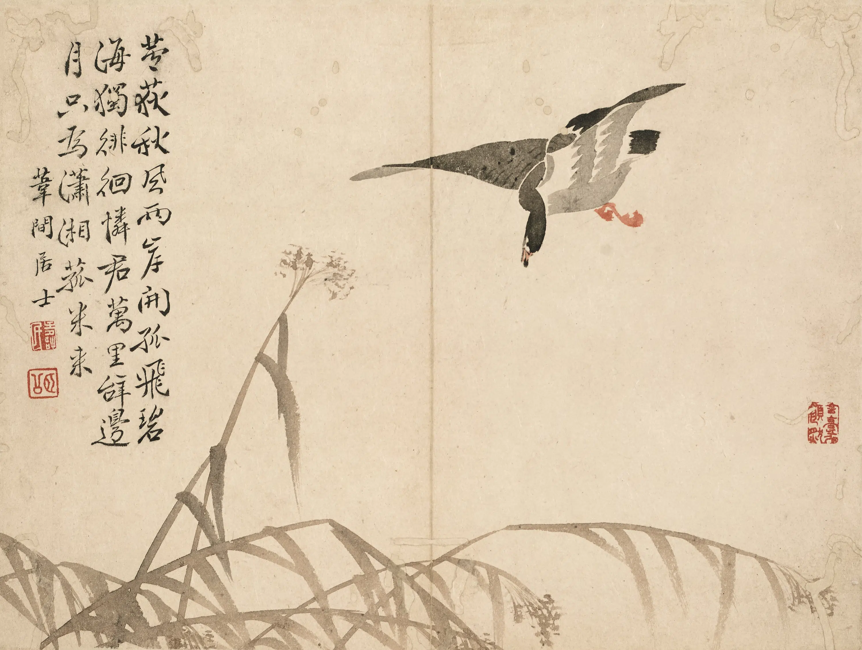 清代【边寿民】《莲州集影图册》 第6张