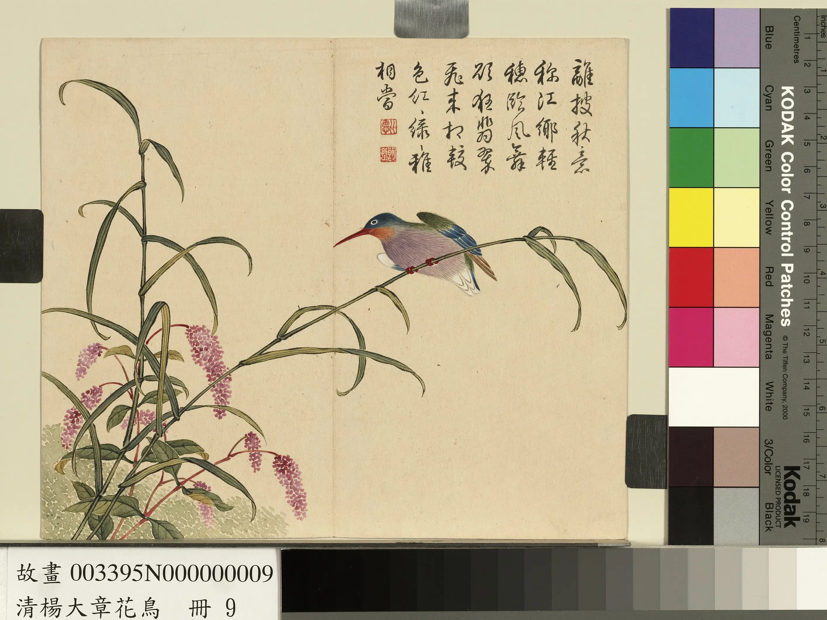 清代【杨大章】《花鸟册-蓼花翠鸟》