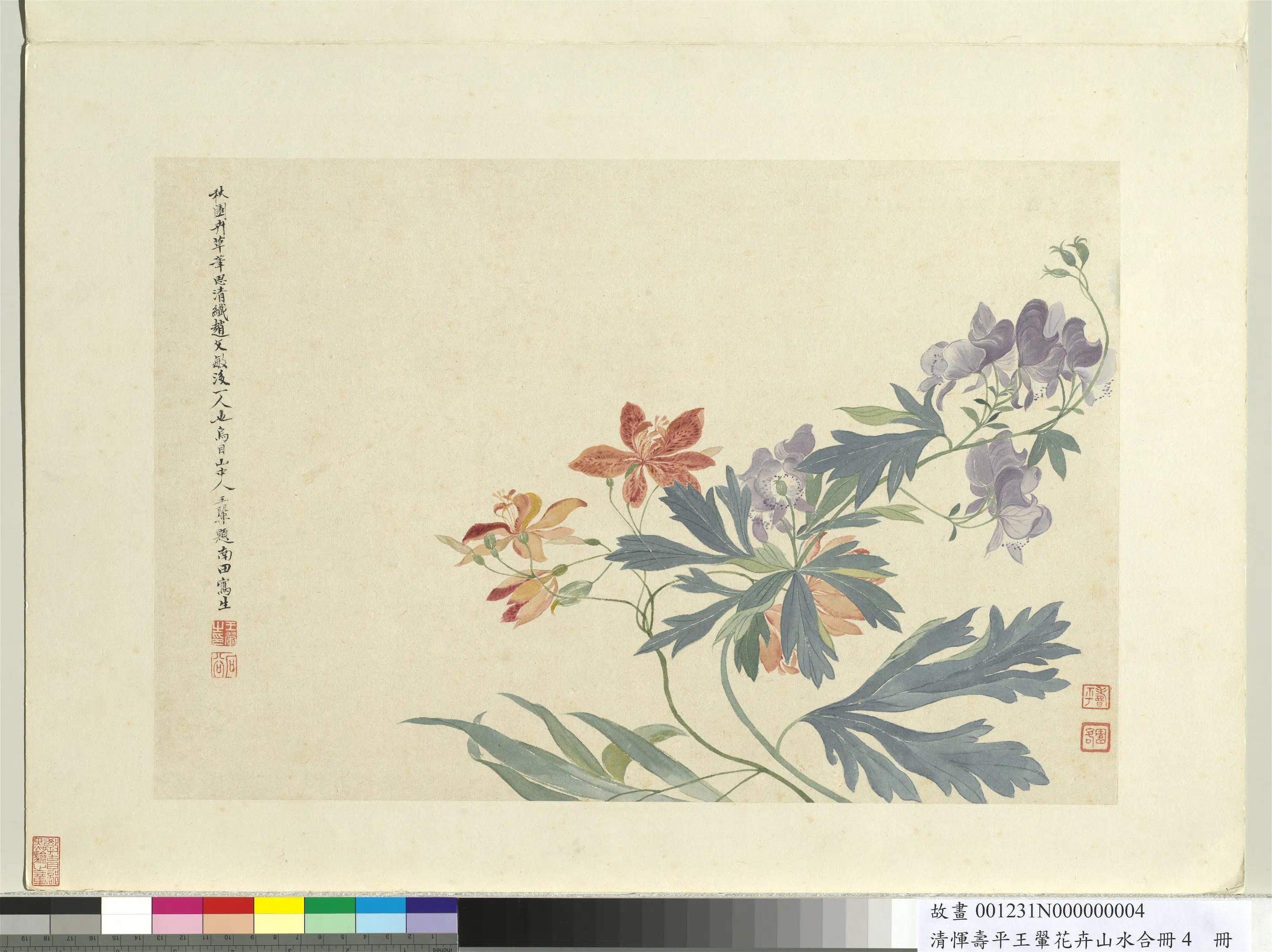 清代【恽寿平】《王翚花卉山水合册-射干》