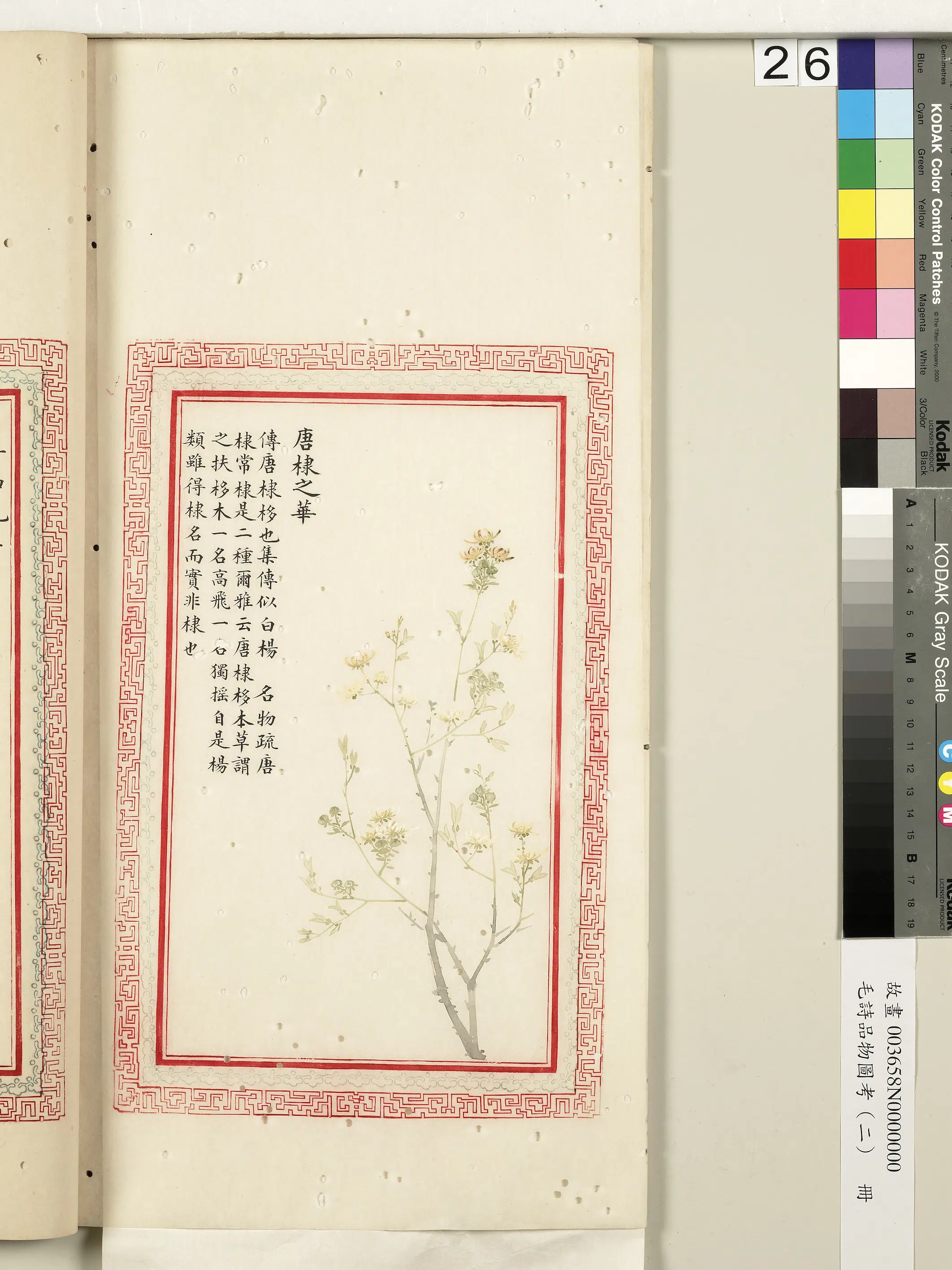 清代《毛诗品物图考（二）册-2》 第16张