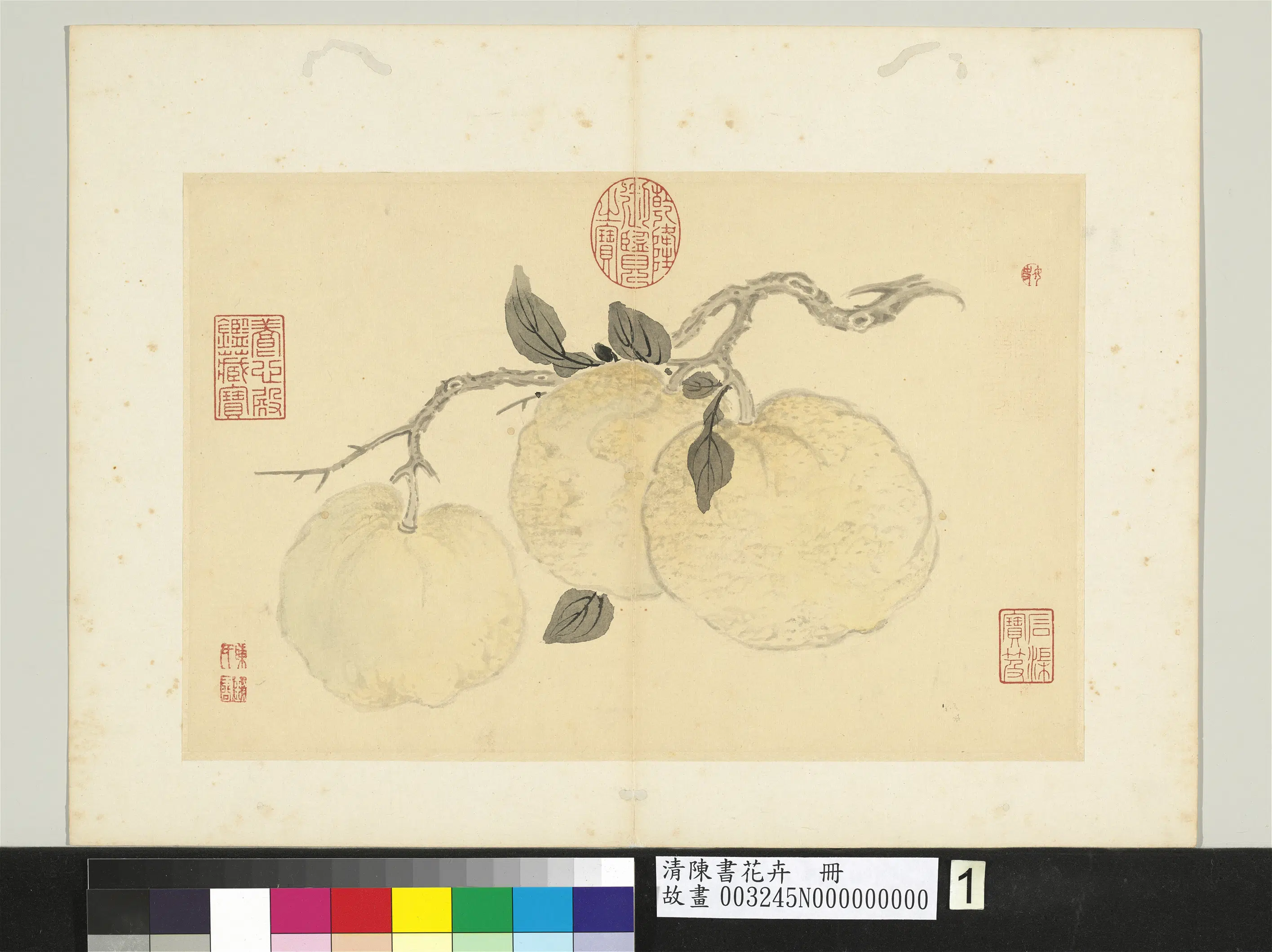 清代【陈书】《花卉册-橙橘》