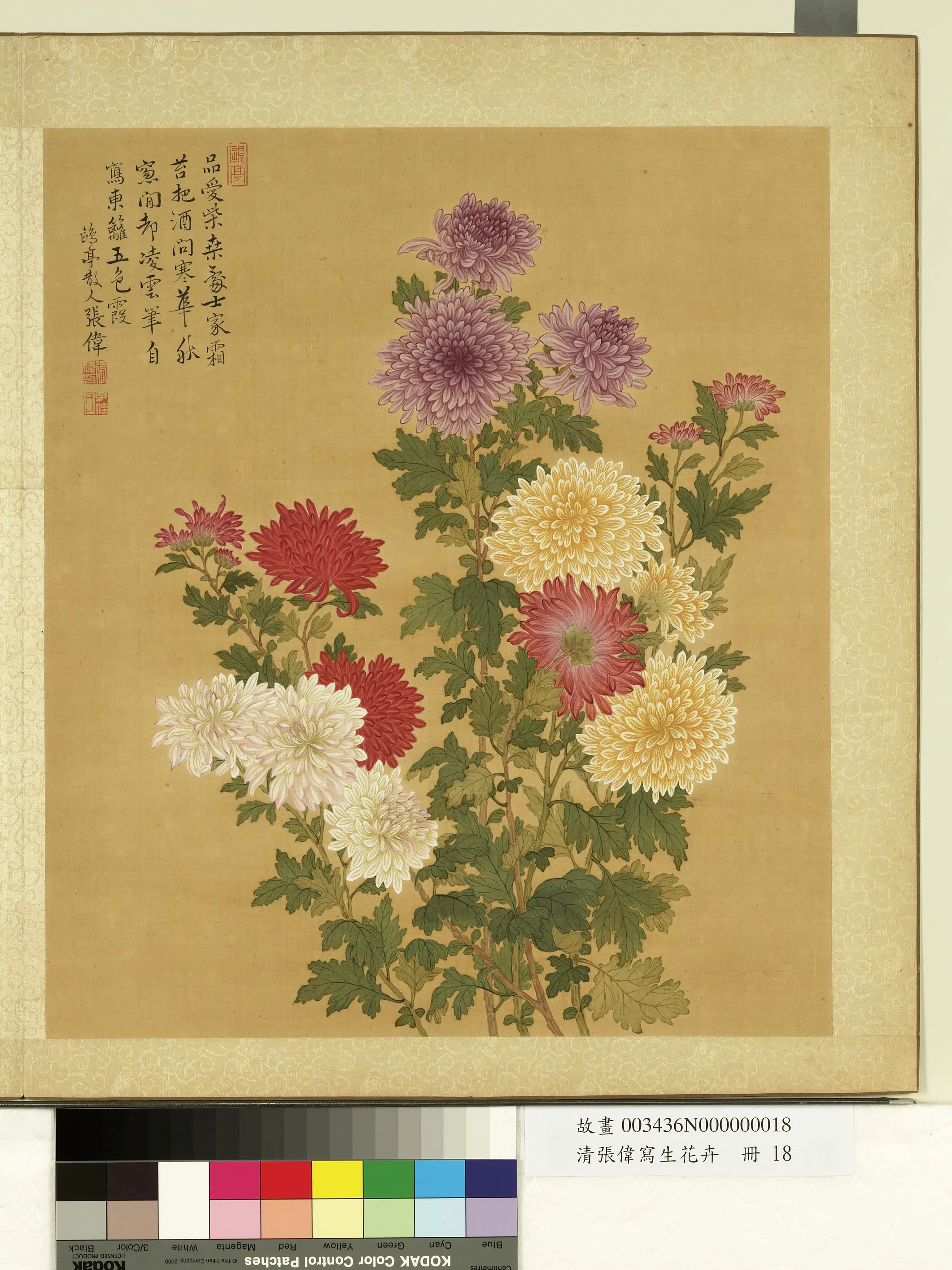 清代【张伟】《写生花卉册》 第17张