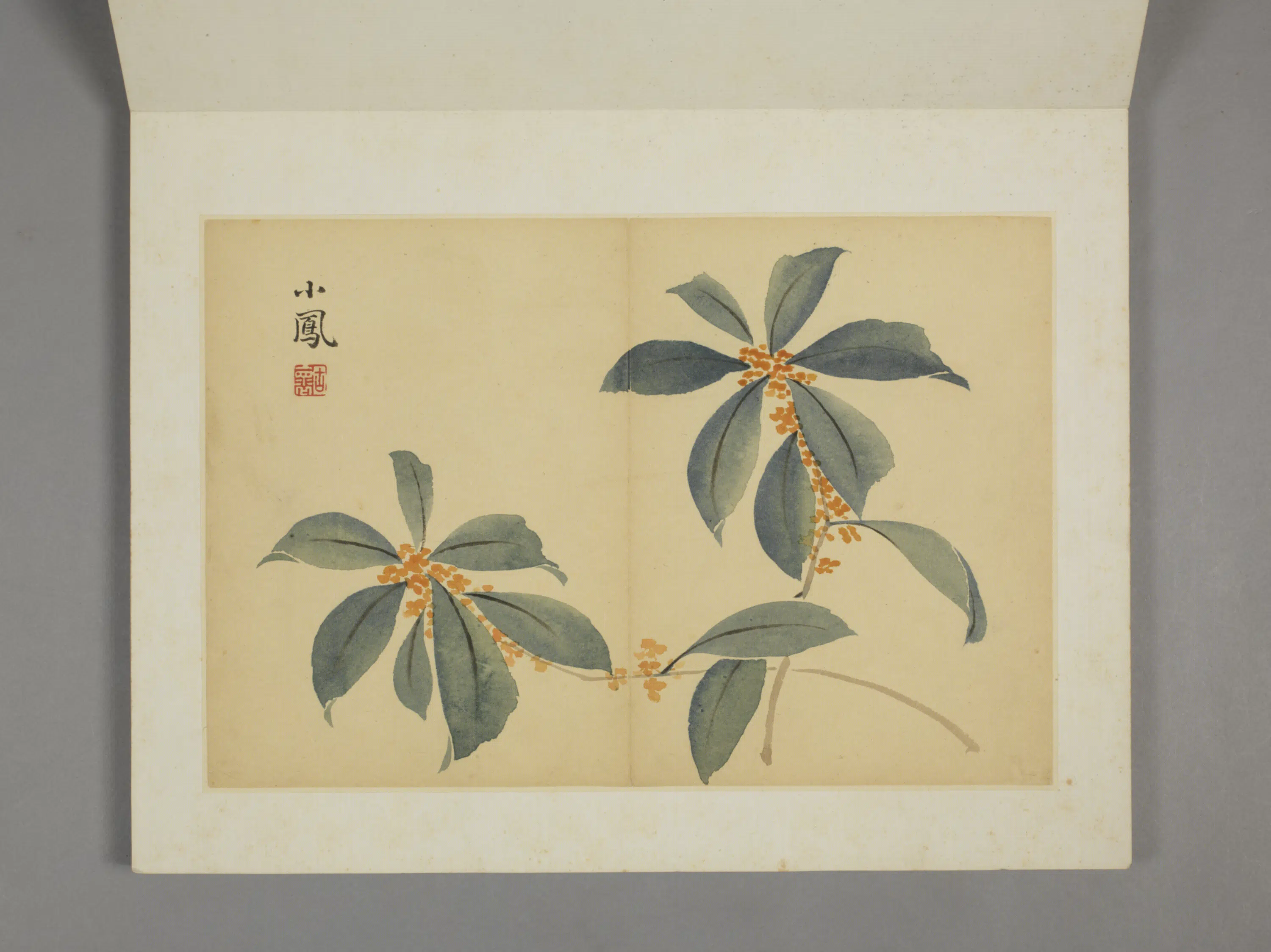 清代【薛怀】《杂画图册》 第2张