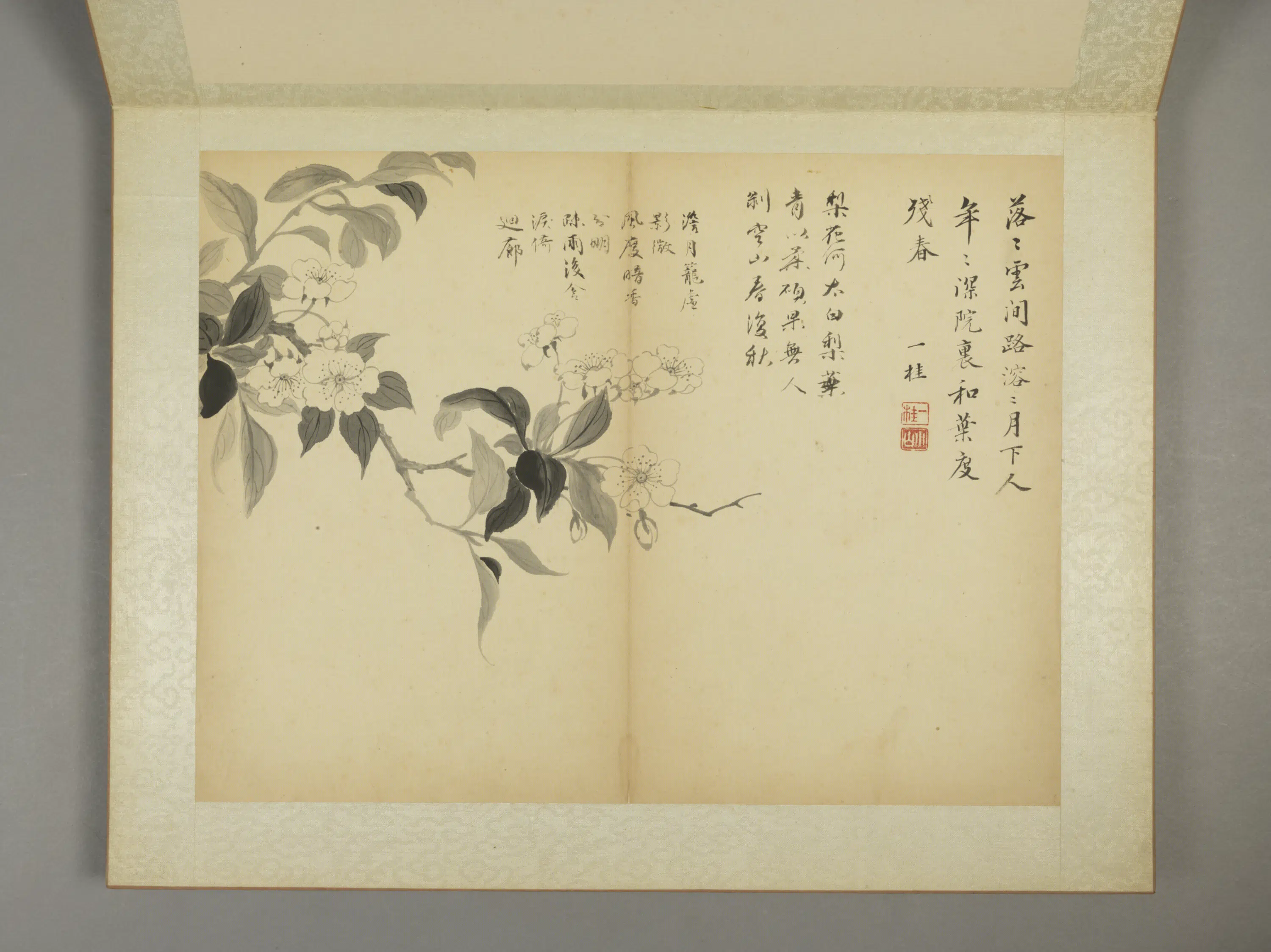 清代【邹一桂】《花卉图册（11开）》 第5张