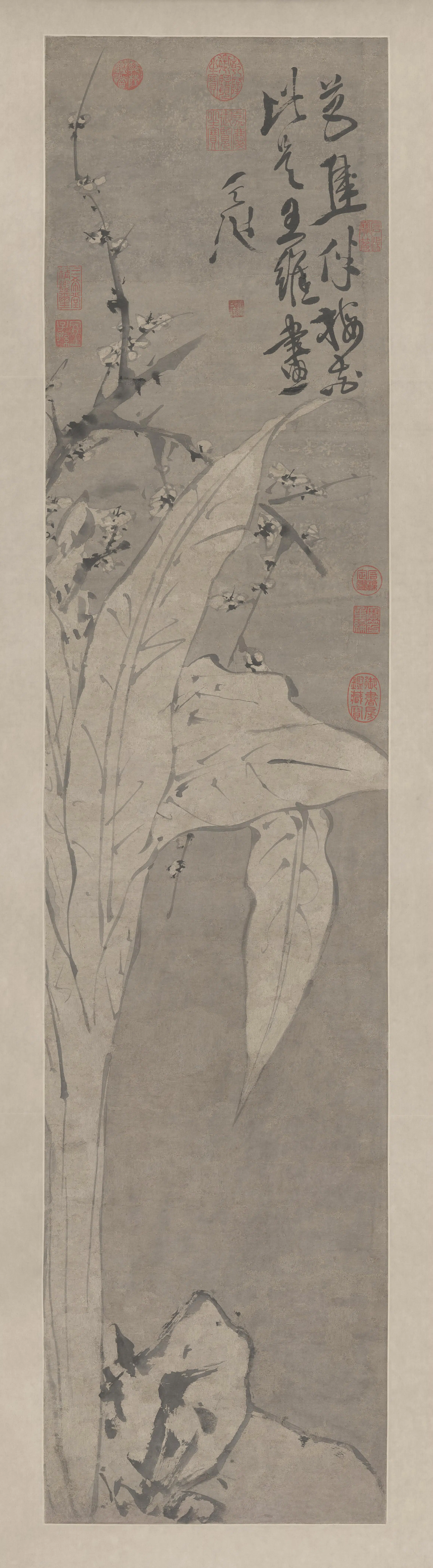 明朝【徐渭】《梅花蕉叶图轴》