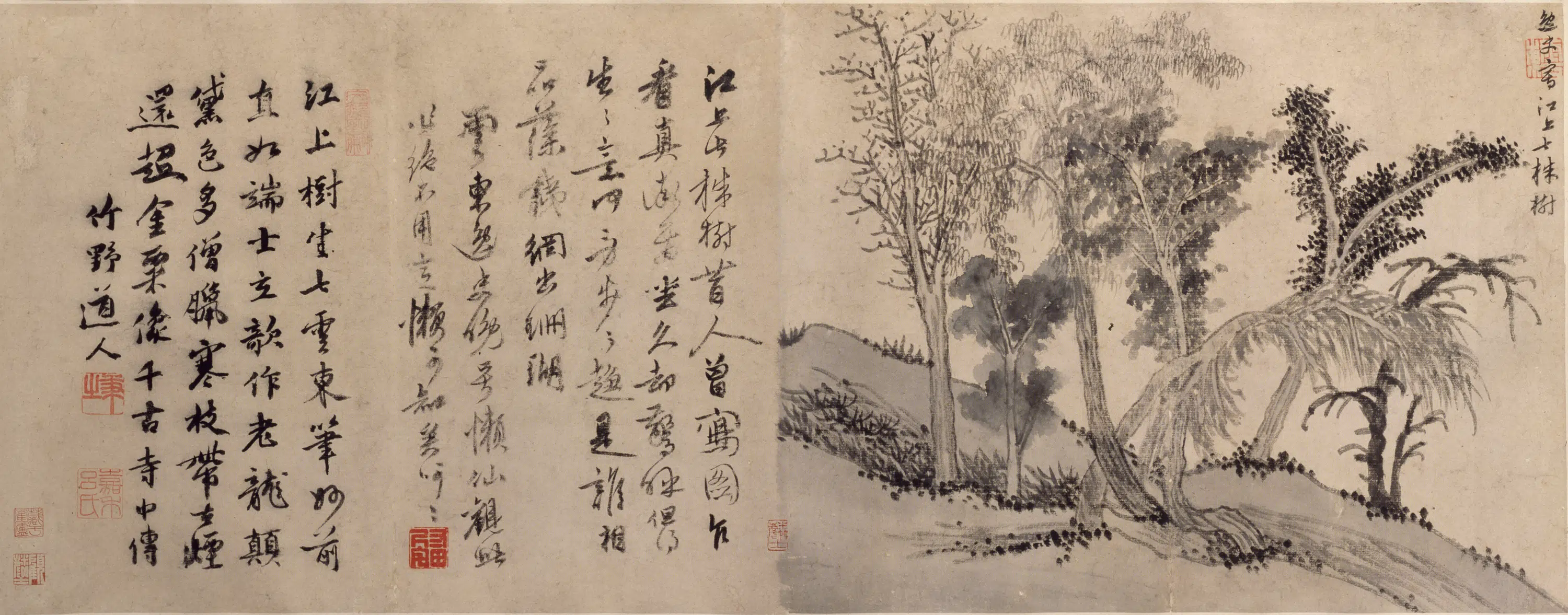明朝【姚绶】《江上七树图卷》