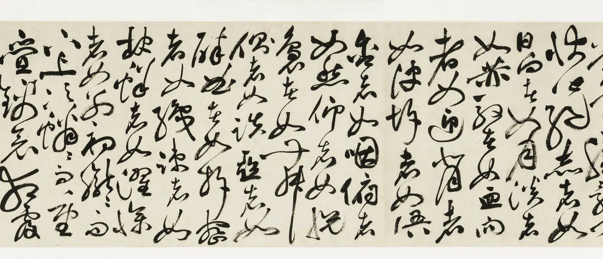 明朝【祝允明】《草书牡丹赋卷》 第11张