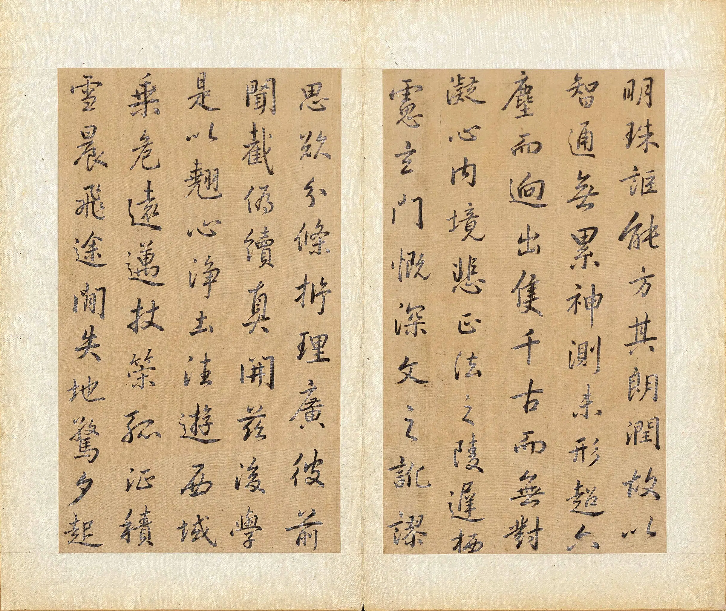清代【方苞】《临圣教序册》 第5张 清代【方苞】《临圣教序册》 第5张
