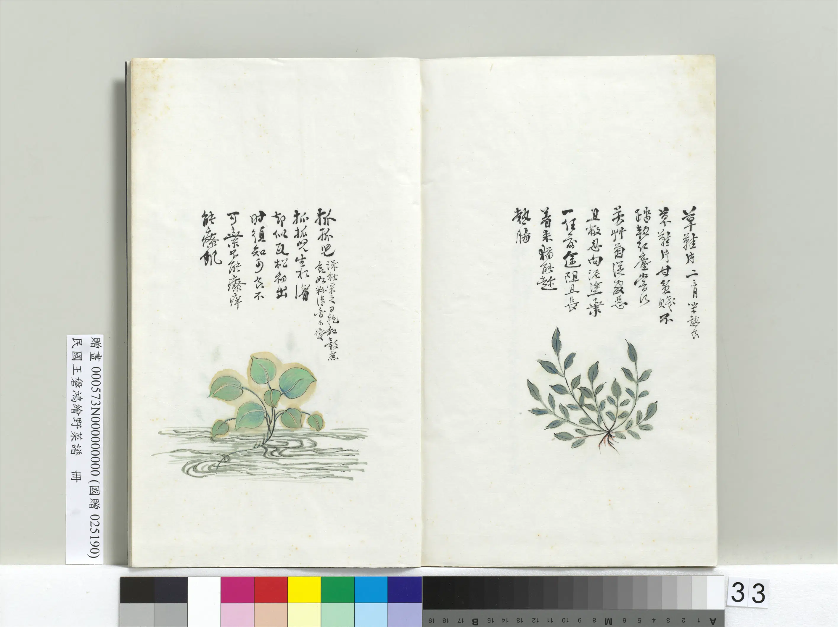 《绘王盘野菜谱册-抓抓儿》