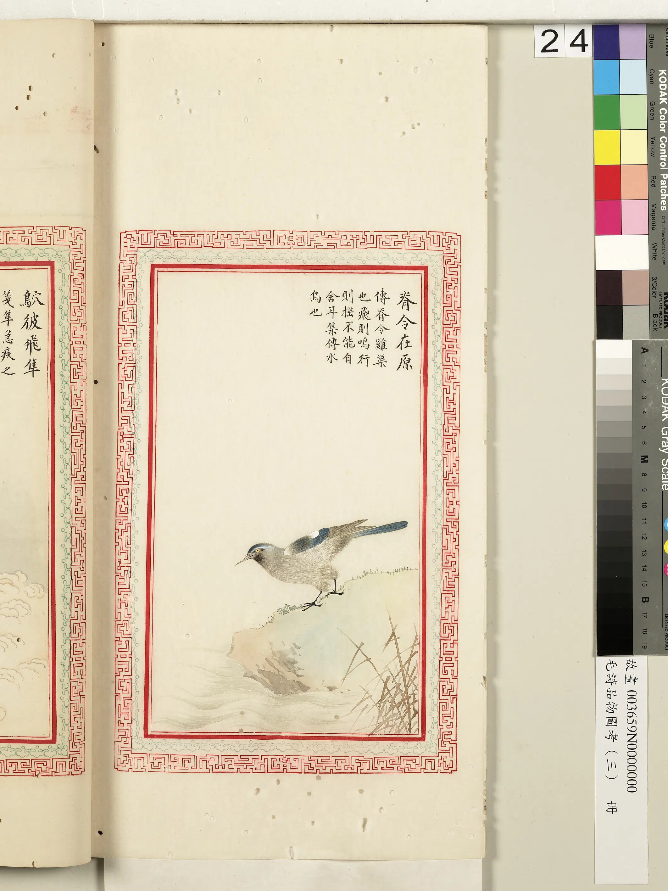 清代《毛诗品物图考（三）册-2》 第41张