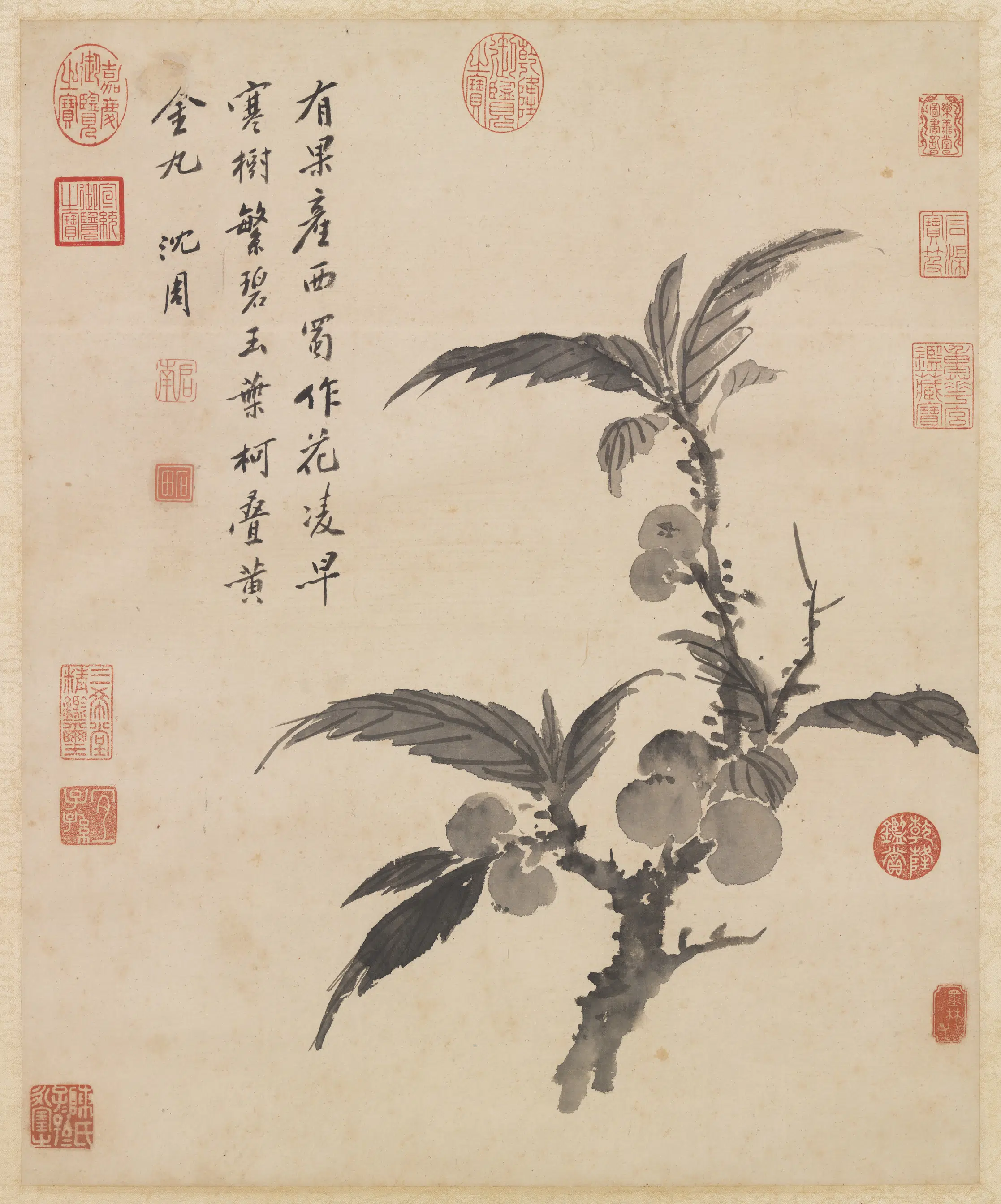 明朝【沈周】《画枇杷图轴》