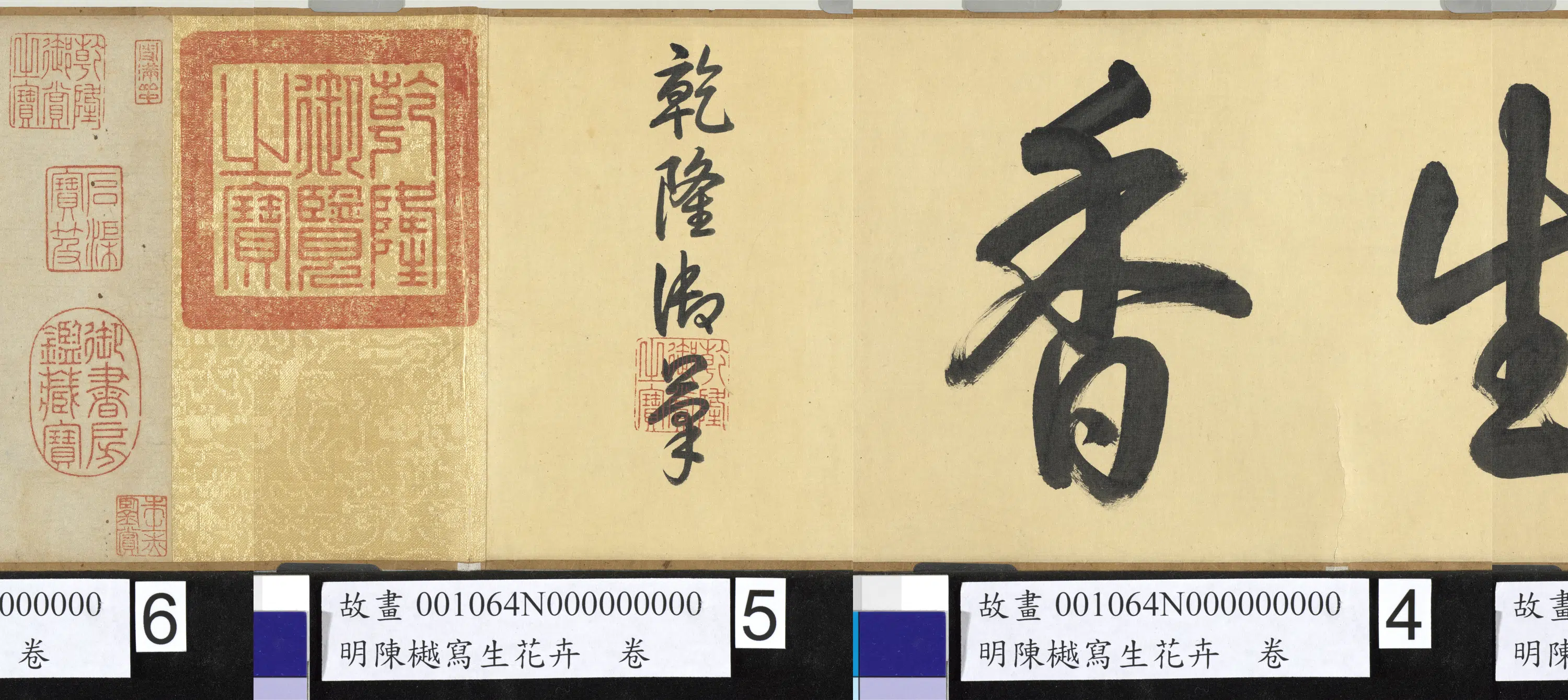 明朝【陈樾】《写生花卉卷》 第6张