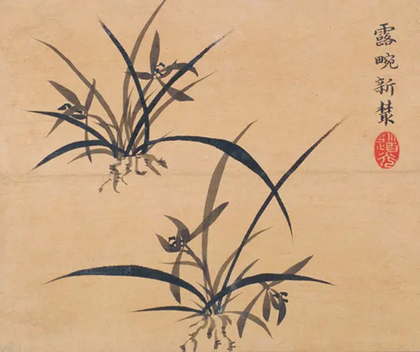 清代【爱新觉罗·旻（绵）宁-道光】《灵芝兰花图》 第1张
