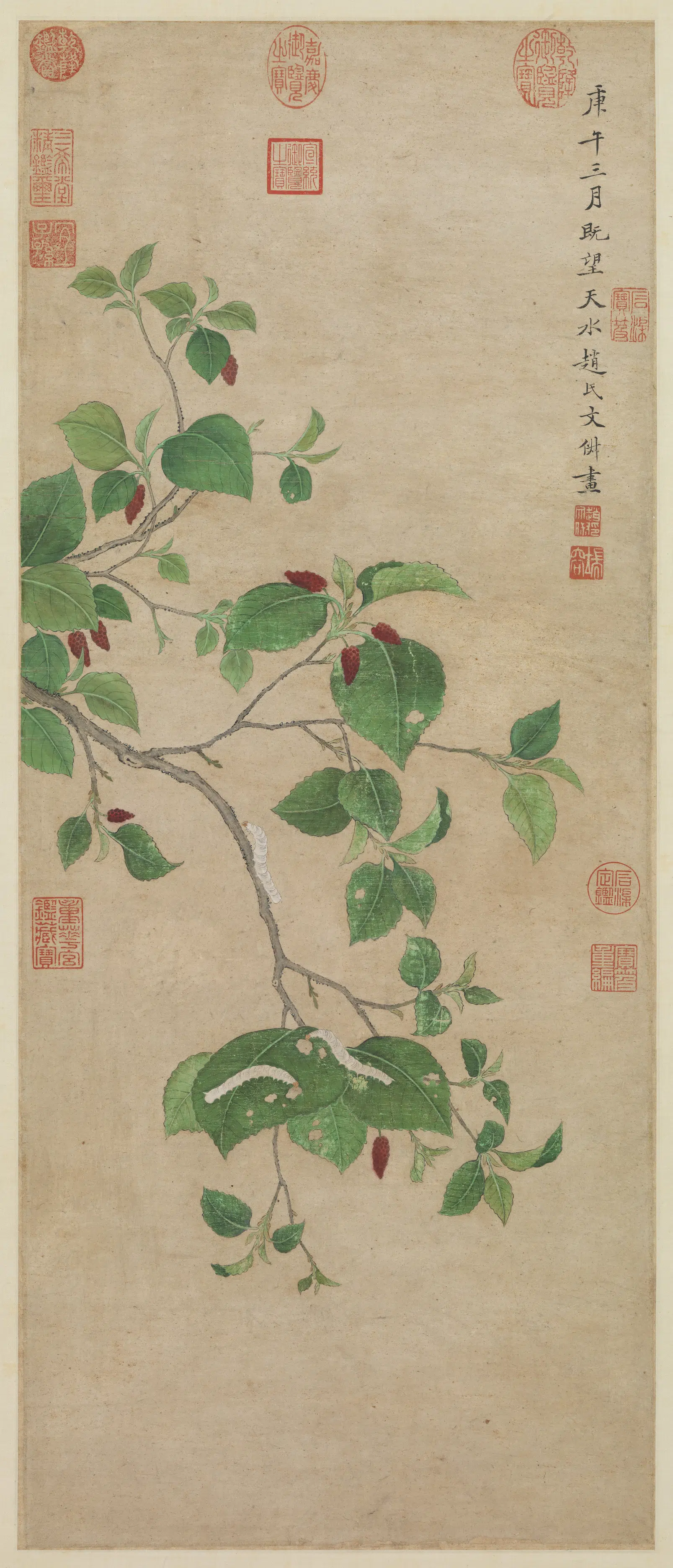 明朝【文俶】《画春蚕食叶图轴》
