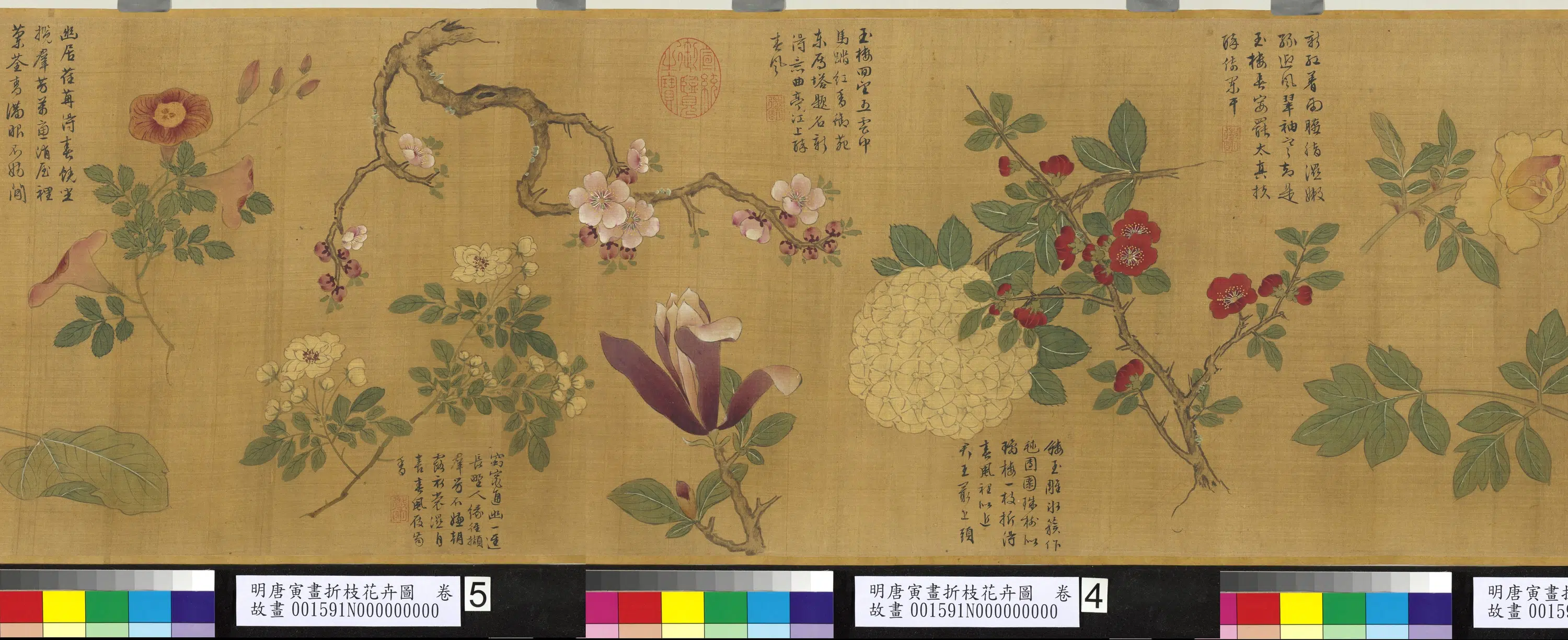 明朝【唐寅】《画折枝花卉图卷》 第3张